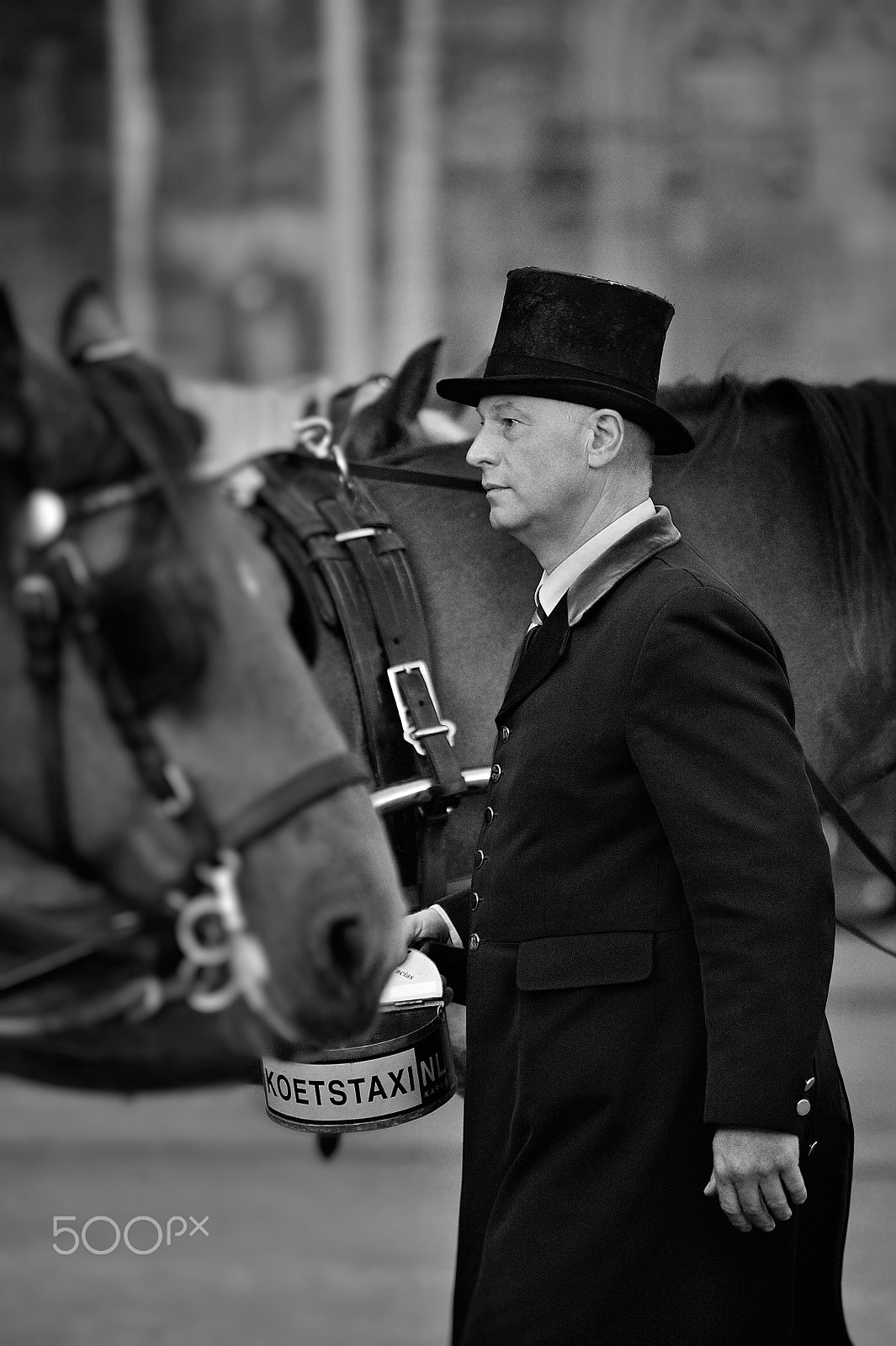 Nikon D3 sample photo. The dutch coachman. photography