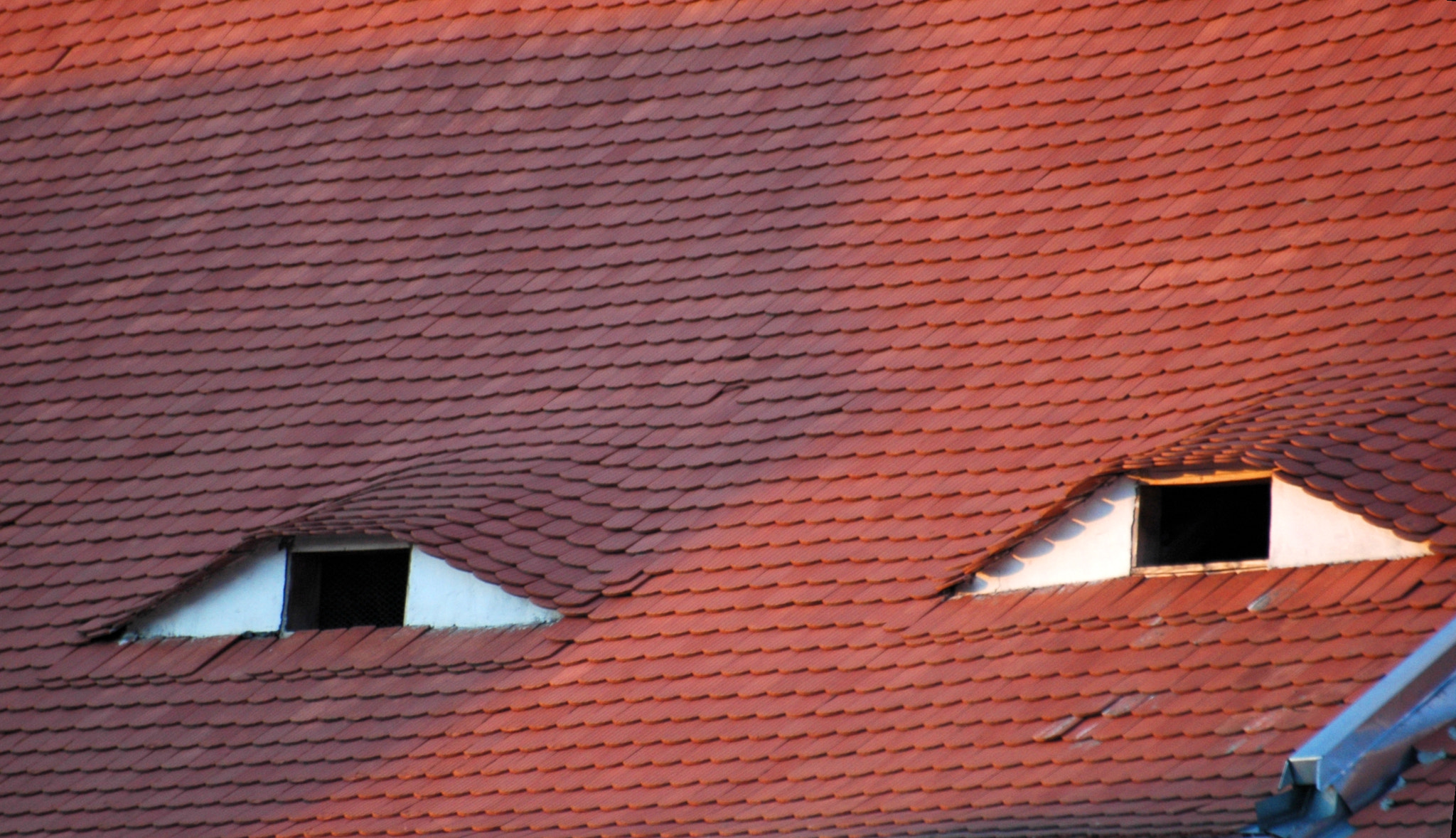 Sigma 70-300mm F4-5.6 APO Macro Super II sample photo. Miran fijamente. photography