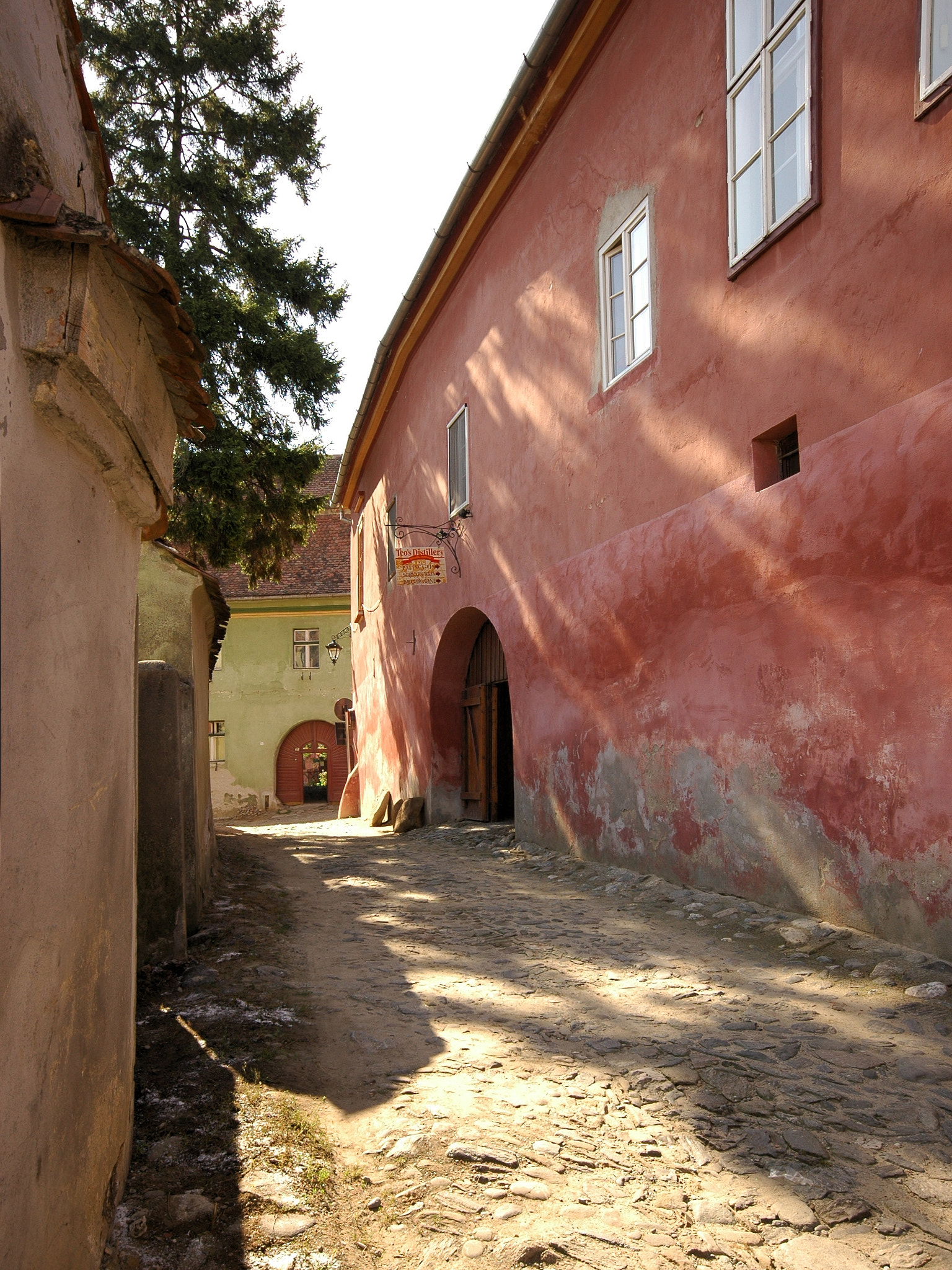 Nikon D70s sample photo. V photography