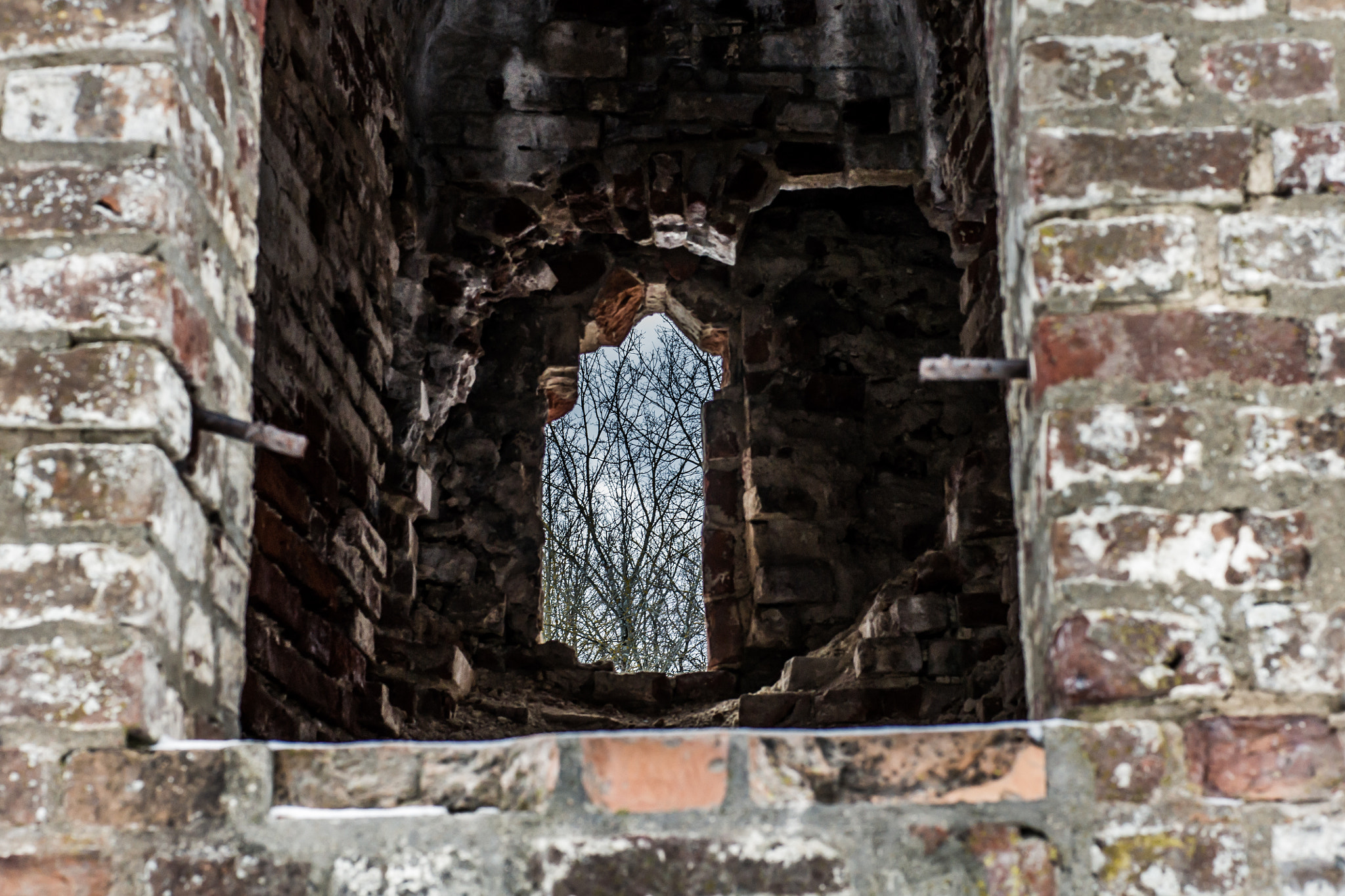 Sony Alpha DSLR-A500 + Sony 50mm F1.4 sample photo. Very old wall photography