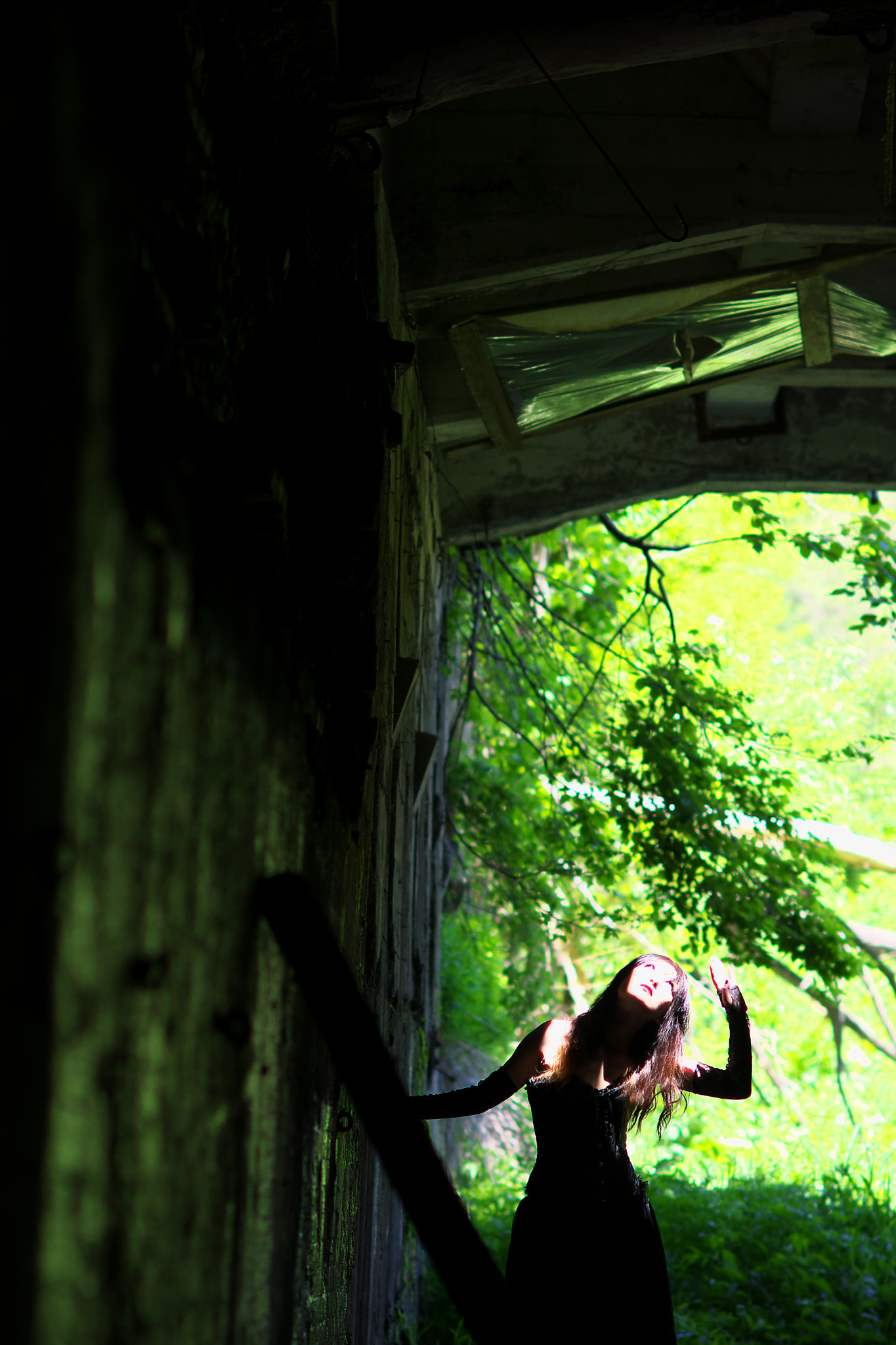 Sony Planar T* 85mm F1.4 ZA sample photo. Photographer ponpon photography