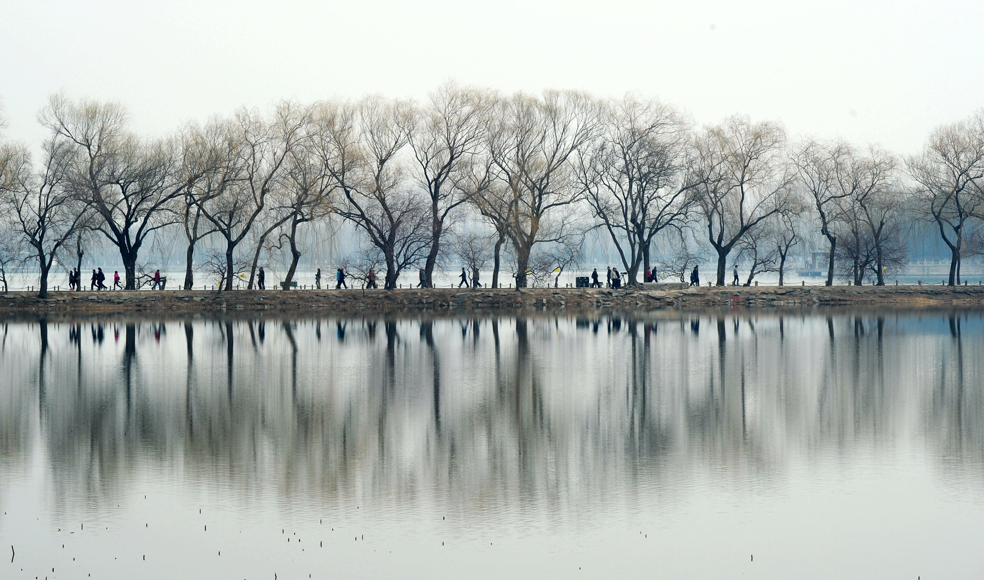 Nikon D3S sample photo. Spring trees photography