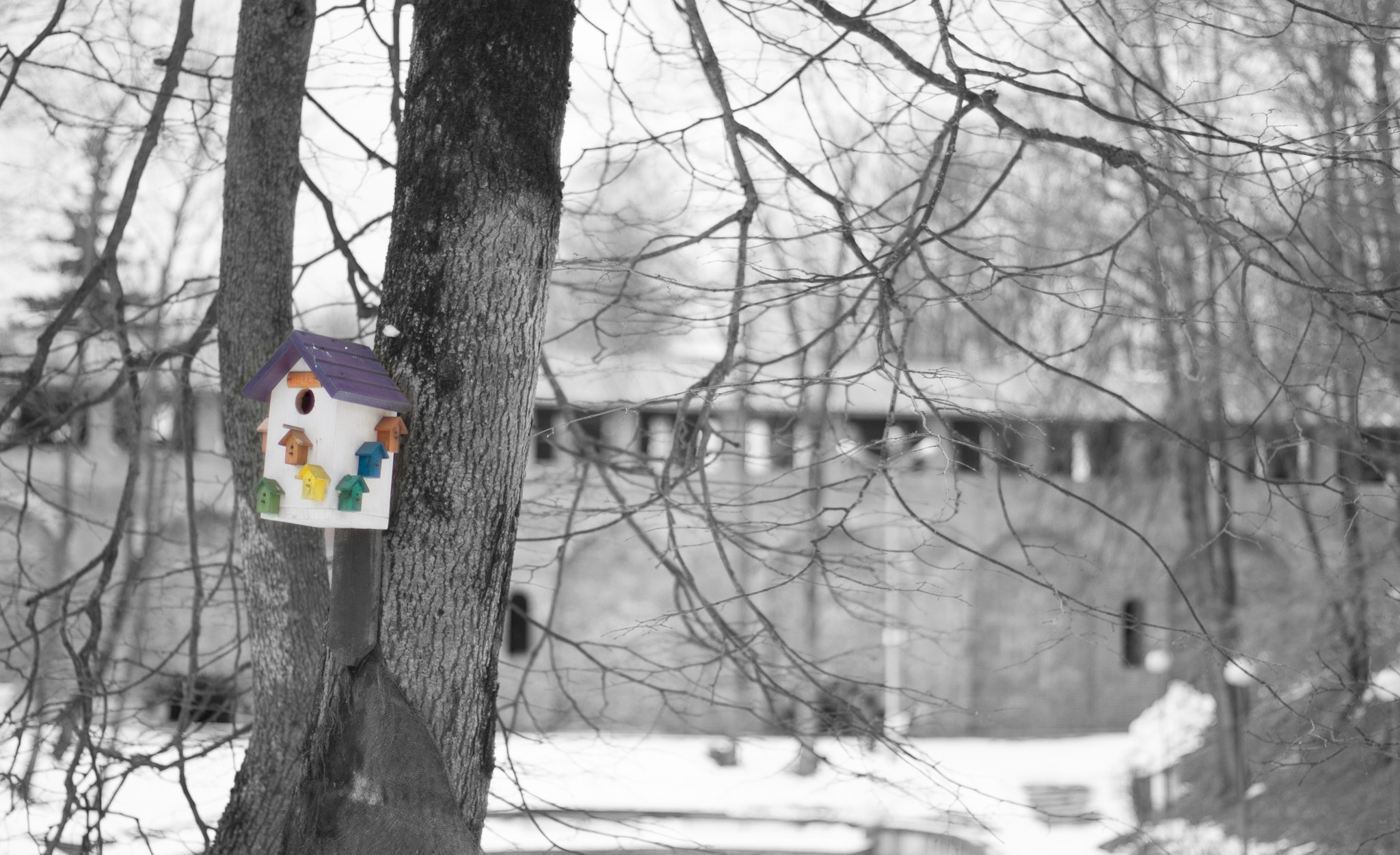 Sony Alpha DSLR-A500 + Sony 50mm F1.4 sample photo. Bird house photography