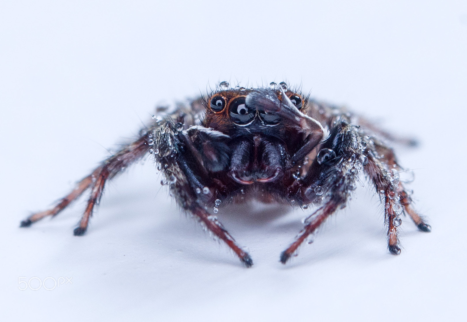 AF Zoom-Nikkor 35-135mm f/3.5-4.5 sample photo. Hey!!! please stop it!!! you make me wet... photography
