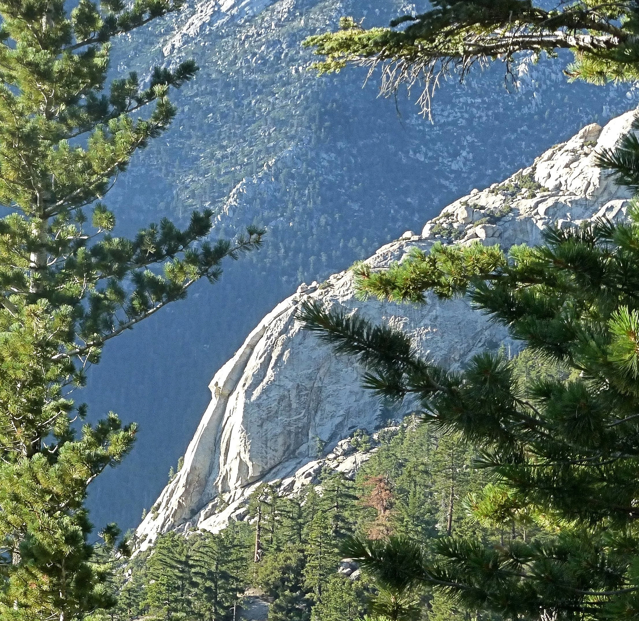 Panasonic Lumix DMC-ZS25 (Lumix DMC-TZ35) sample photo. Idyllwild mountains through the trees photography