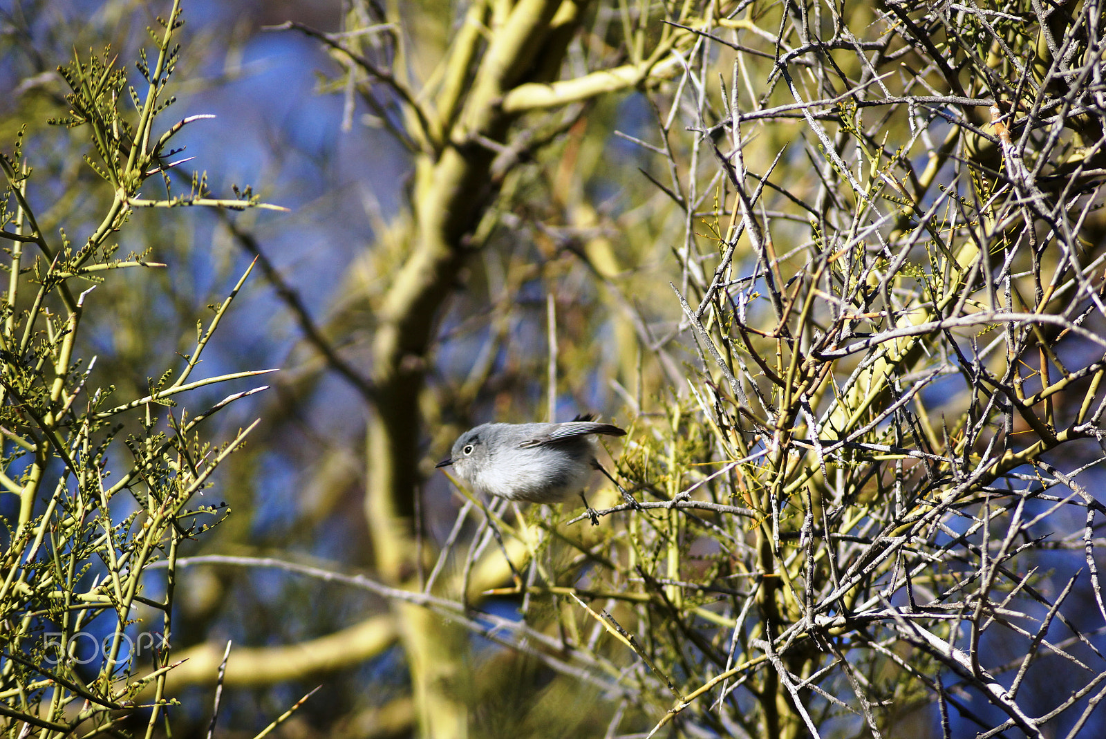 Sony DT 55-200mm F4-5.6 SAM sample photo. Little one photography