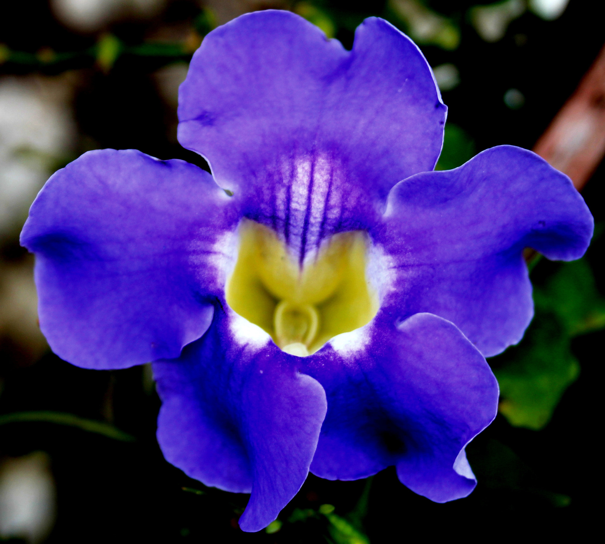Canon EF-S 18-55mm F3.5-5.6 sample photo. 12.jpg photography