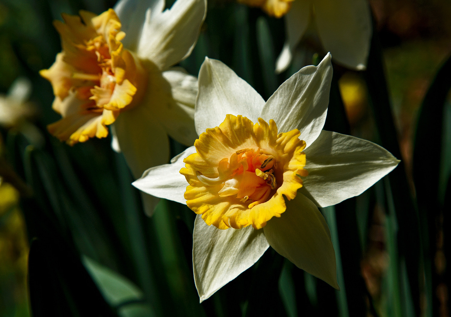 24-105mm F4 G SSM OSS sample photo. Sun in my face photography