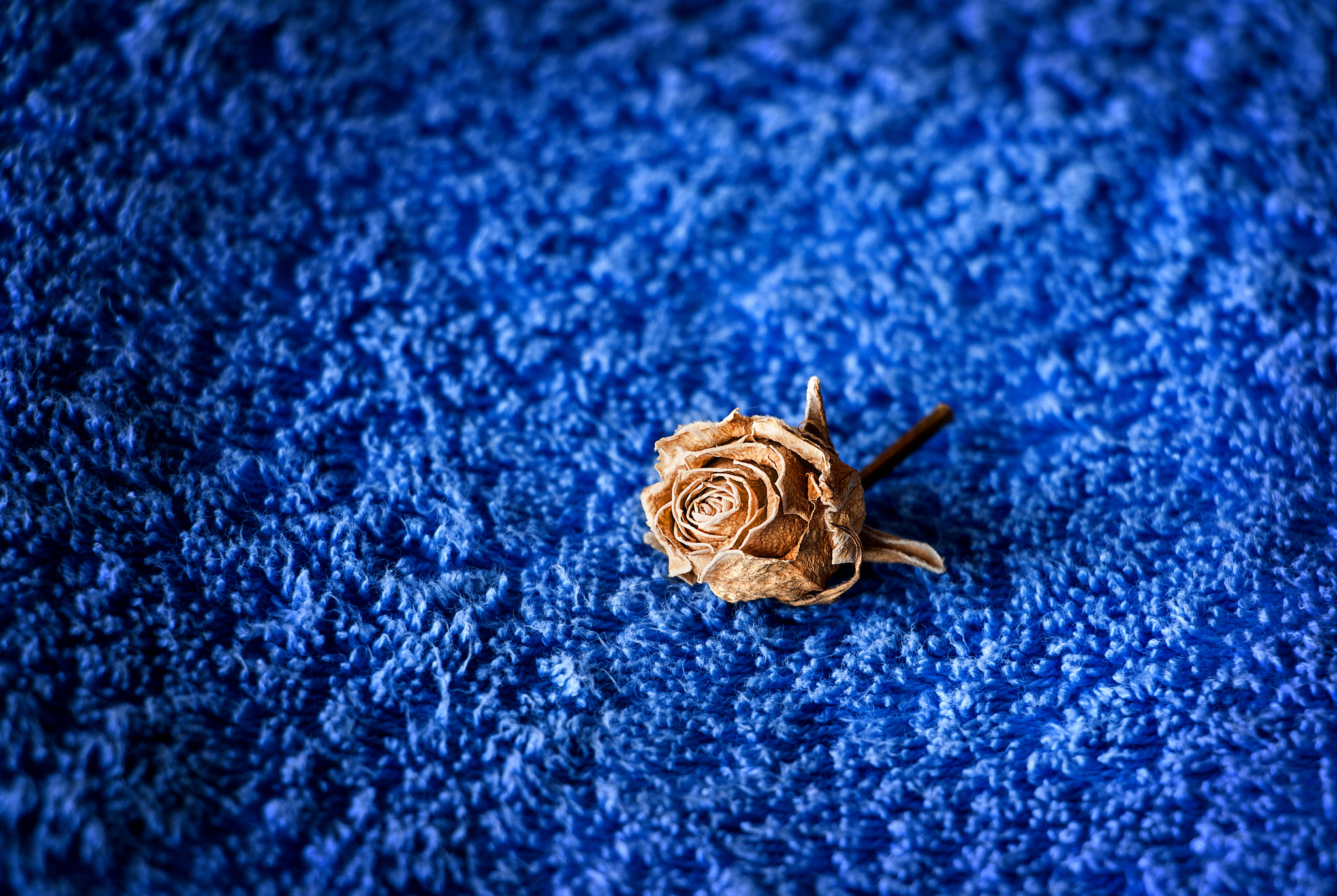 Canon EF-S 18-135mm F3.5-5.6 IS STM sample photo. The ultimate resting space photography