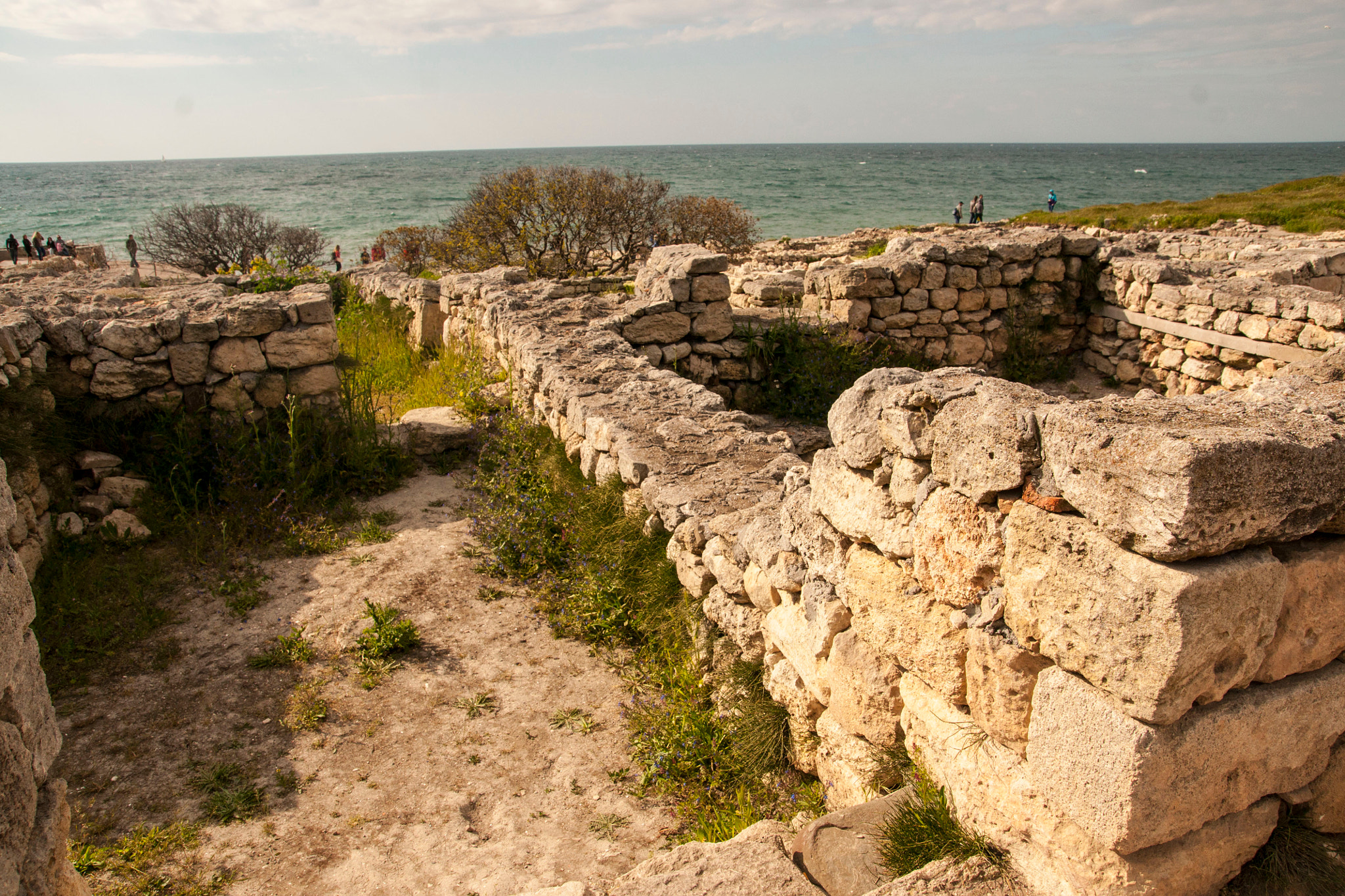 Sony Alpha DSLR-A700 sample photo. Crimea photography