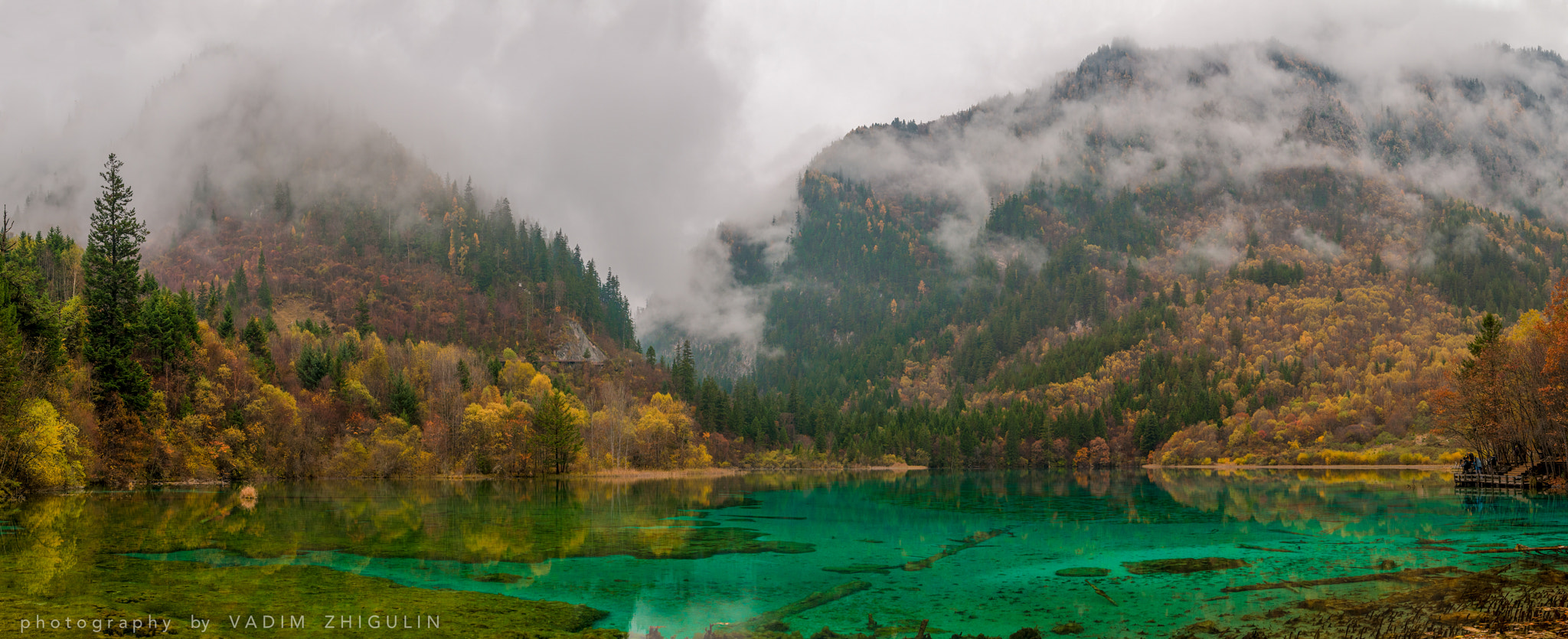 Nikon AF-S Nikkor 16-35mm F4G ED VR sample photo. Foggy morning on five flowers lake photography