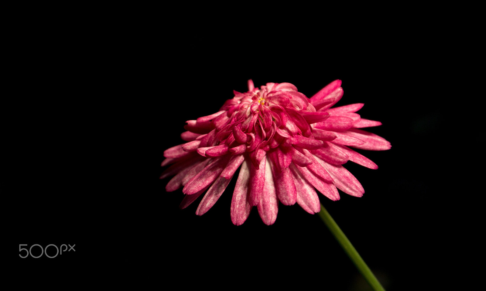 Nikon 1 J2 sample photo. Gardens by the bay, singapore photography