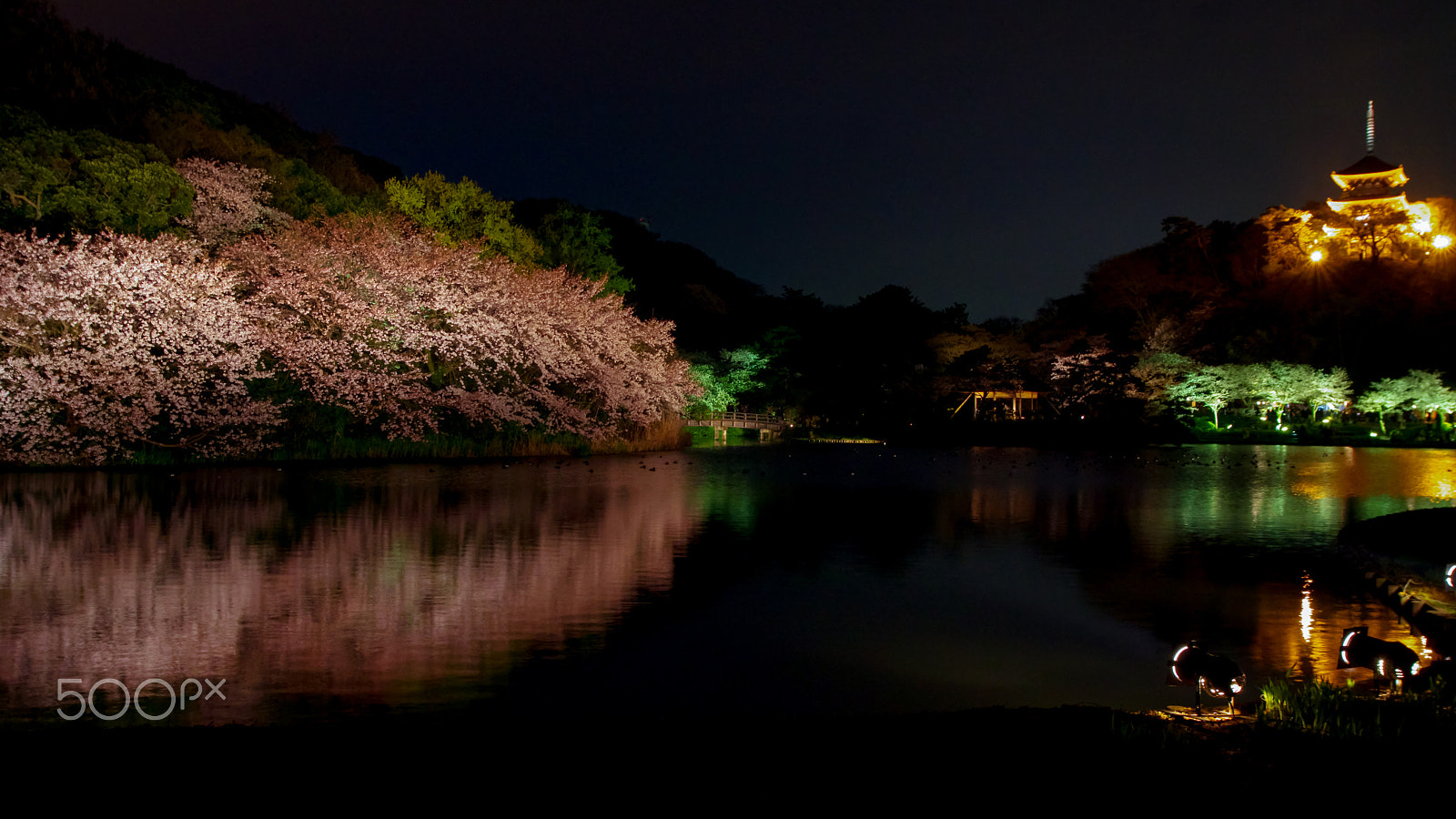 Pentax K-3 + Sigma 20mm F1.8 EX DG Aspherical RF sample photo. 三渓園（yokohama sankeien garden japan) photography