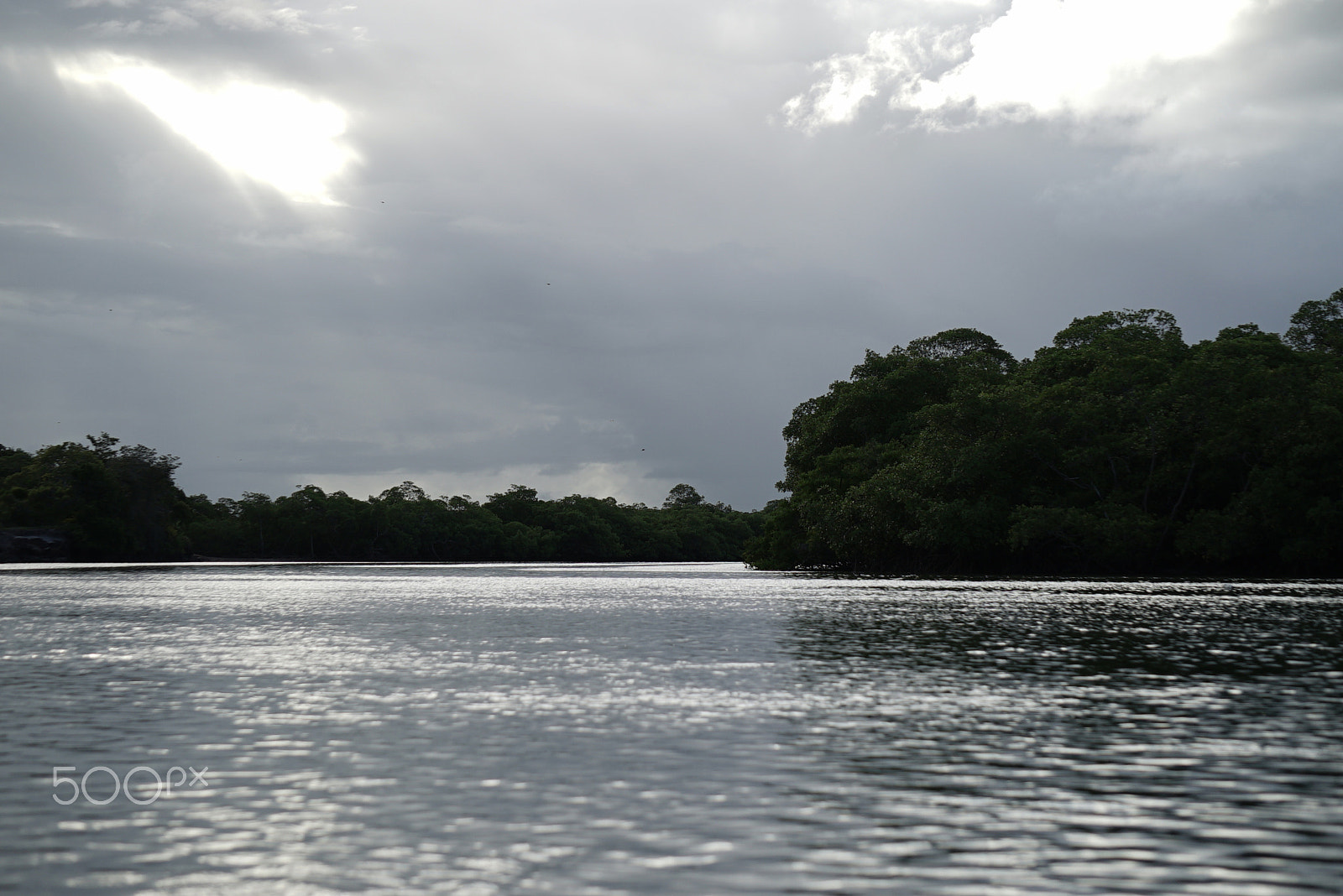 Sony a7S sample photo. Manguezao em boipeba photography