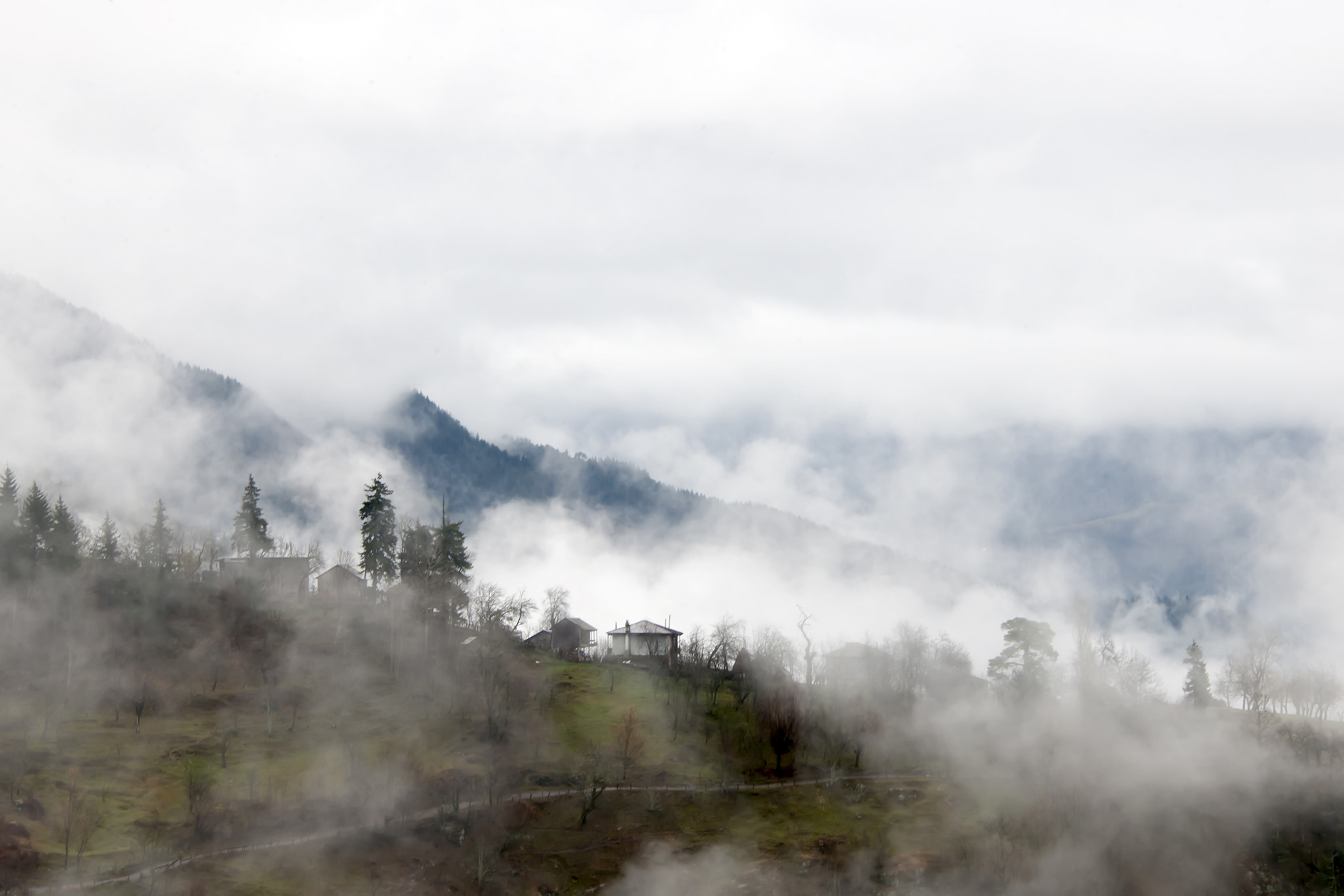 Nikon D3X sample photo. Mist photography