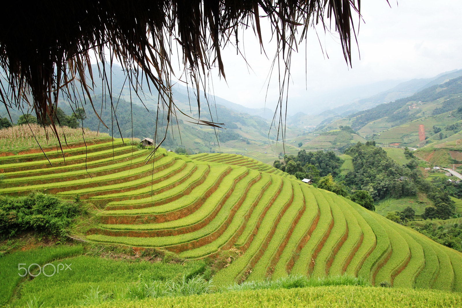 Canon EOS 550D (EOS Rebel T2i / EOS Kiss X4) sample photo. Tu le - mu cang chai, yen bai, vietnam photography