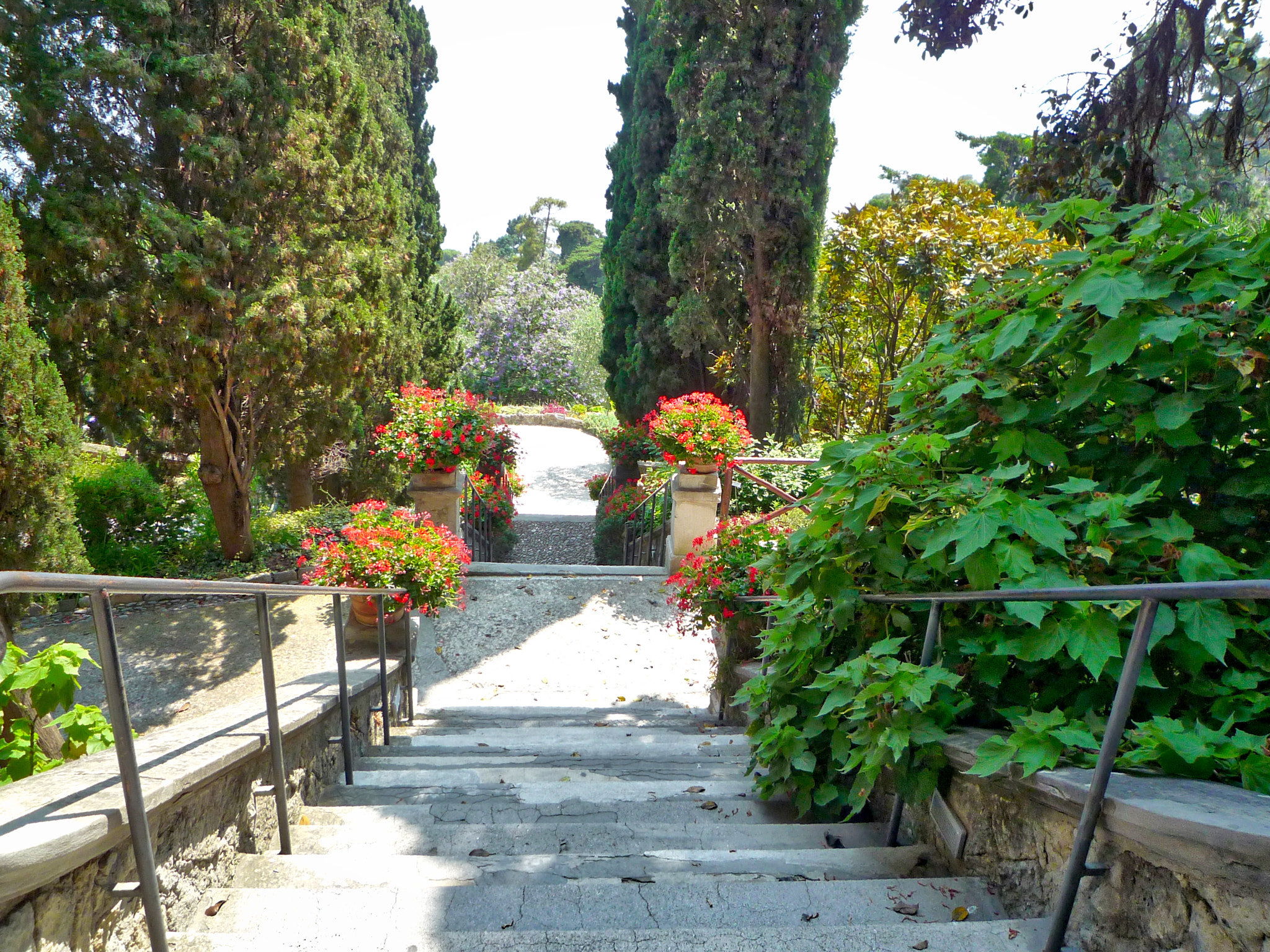 Panasonic DMC-FX35 sample photo. Staircase photography