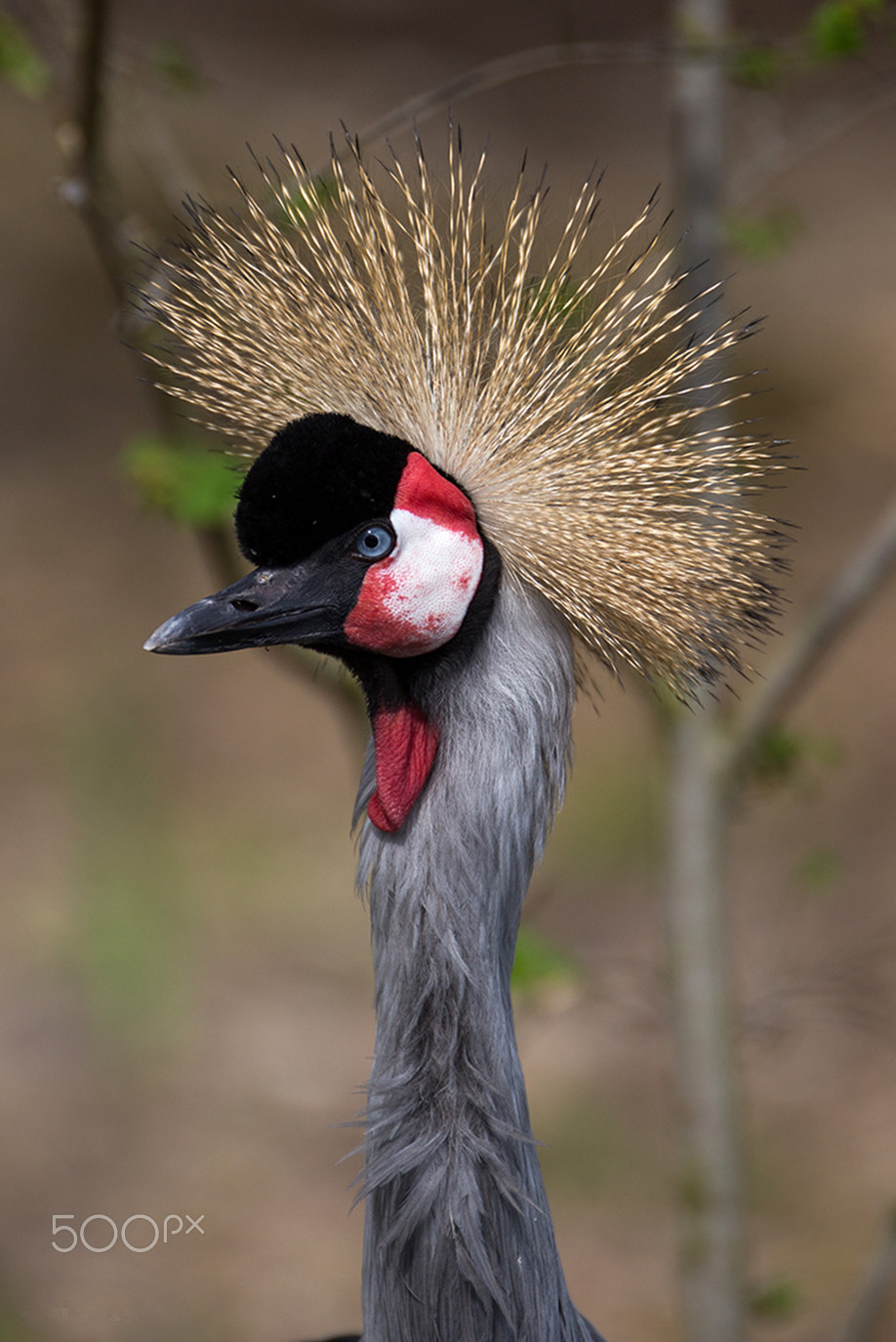 Canon EF 70-200mm F2.8L USM sample photo. Punker :-) photography