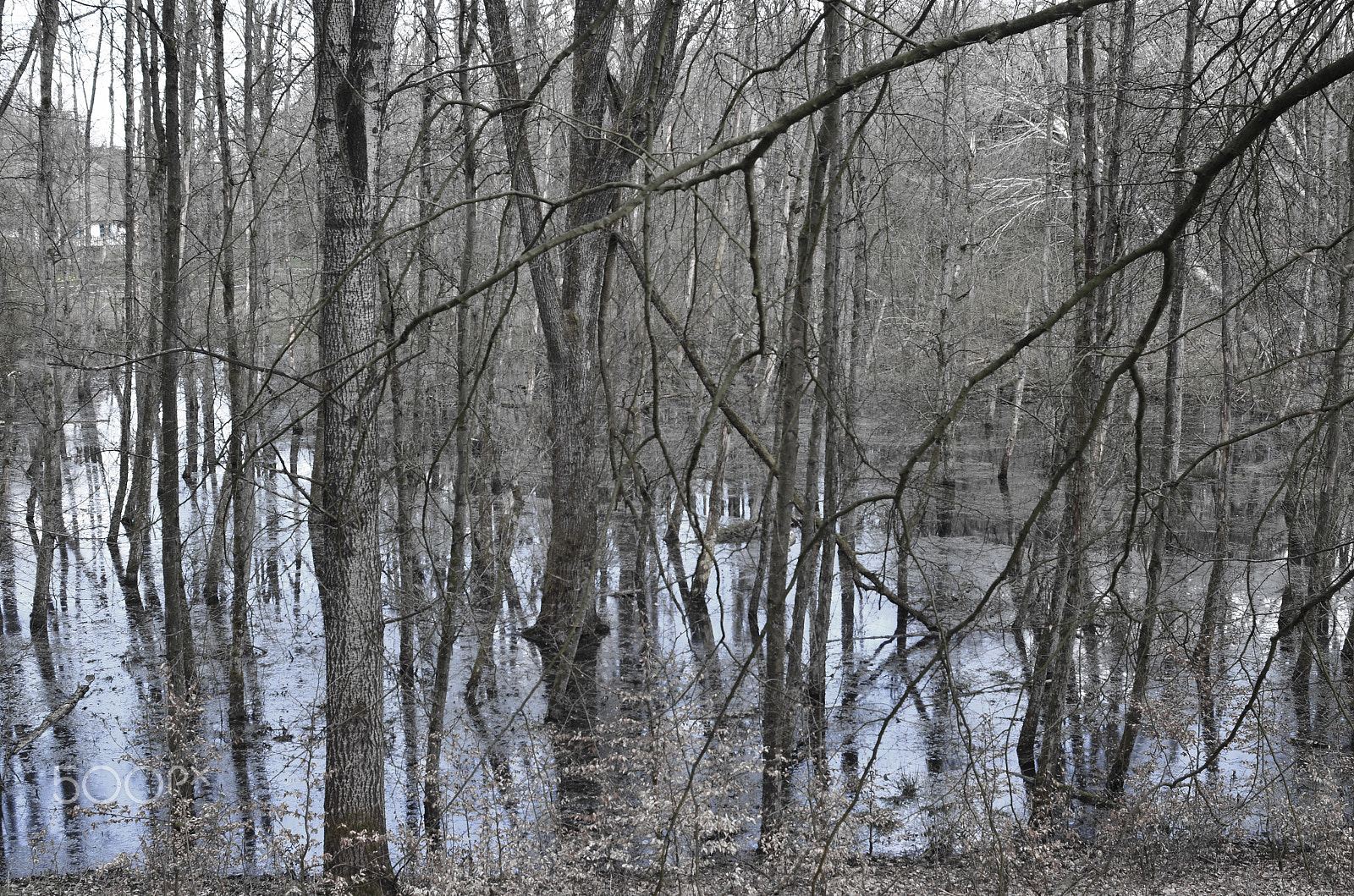AF Zoom-Nikkor 35-105mm f/3.5-4.5 sample photo. Water reflection photography