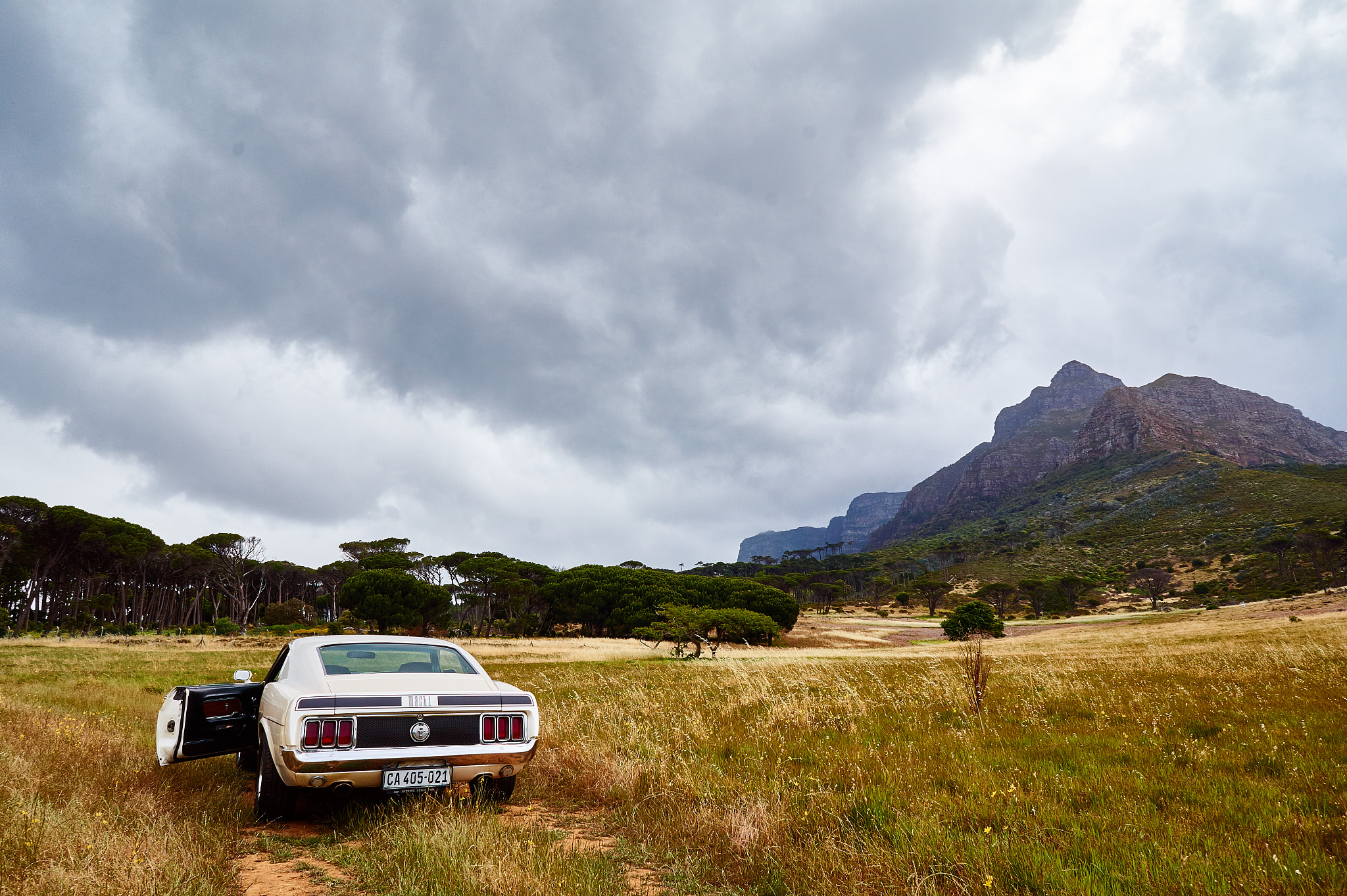 Sony Alpha a5000 (ILCE 5000) + Sony E 16mm F2.8 sample photo. Wandering mustang photography