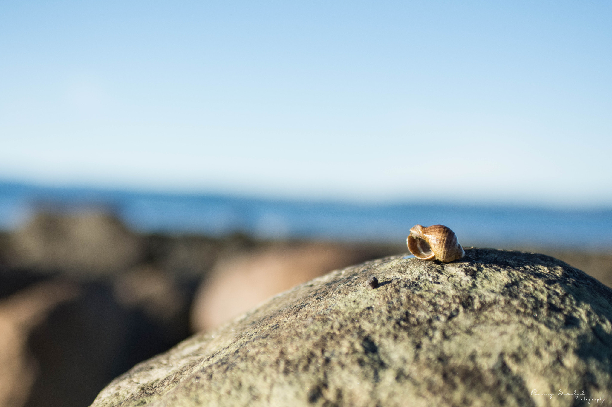 Nikon D7200 + Sigma 24-70mm F2.8 EX DG Macro sample photo. Edit edit photography