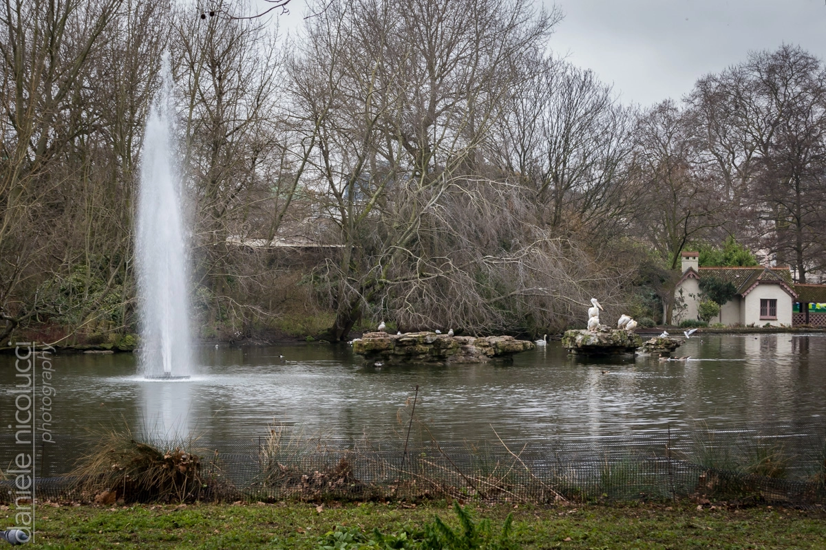Sigma 18-250mm F3.5-6.3 DC OS HSM sample photo. St. james's park photography