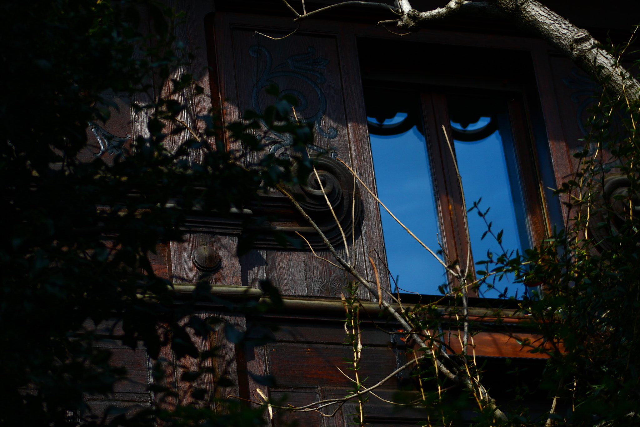 Canon EF 75-300mm f/4-5.6 USM sample photo. Discovering jewels photography