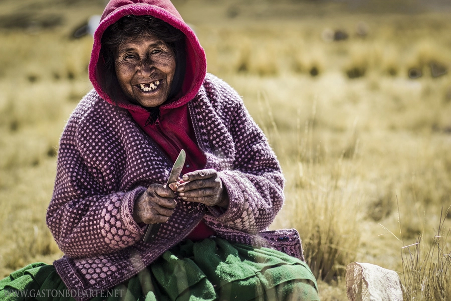 Canon EOS 550D (EOS Rebel T2i / EOS Kiss X4) sample photo. Altiplano peruano photography