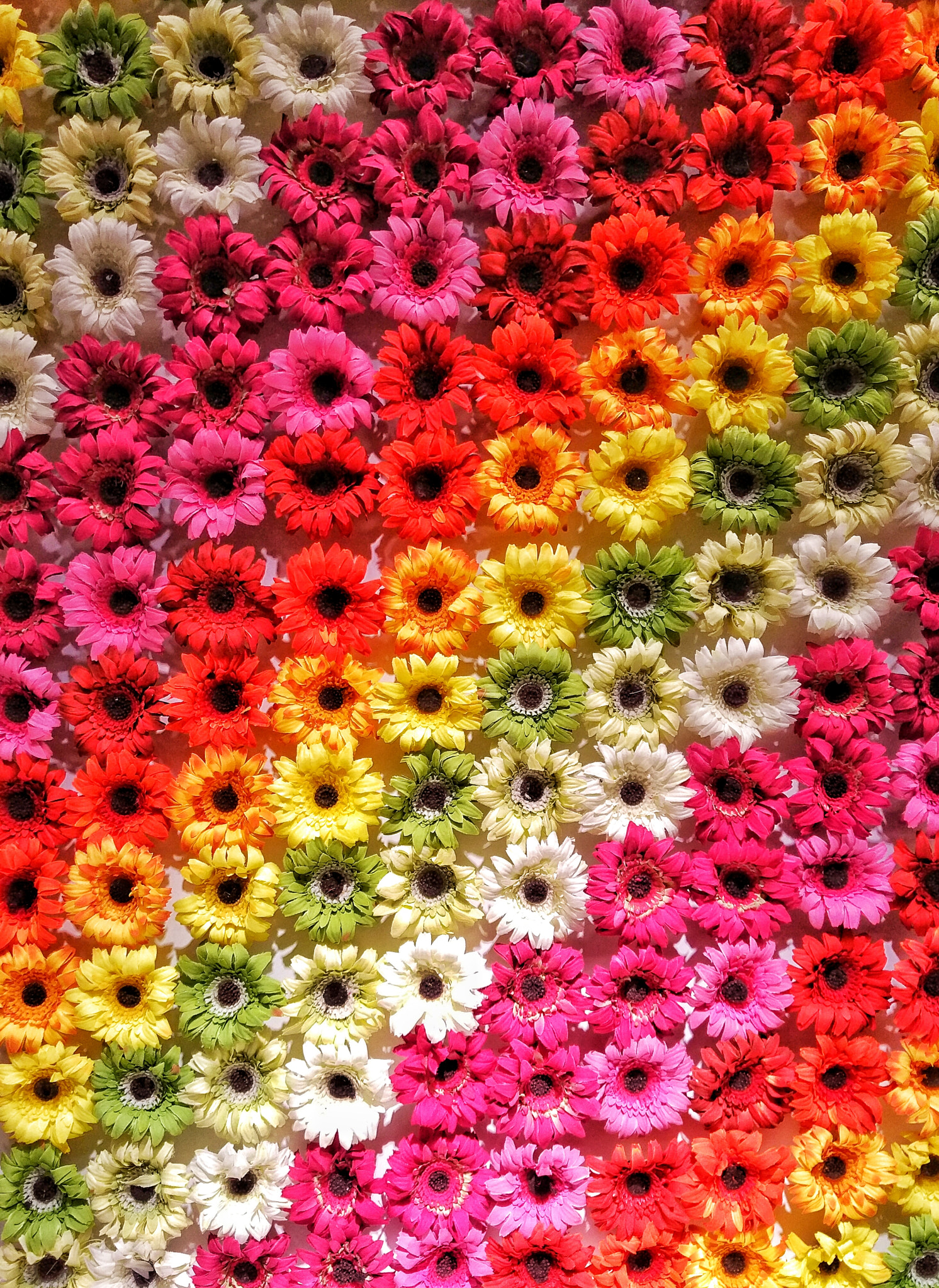 Xiaomi MI NOTE Pro sample photo. Artificial flowers photography