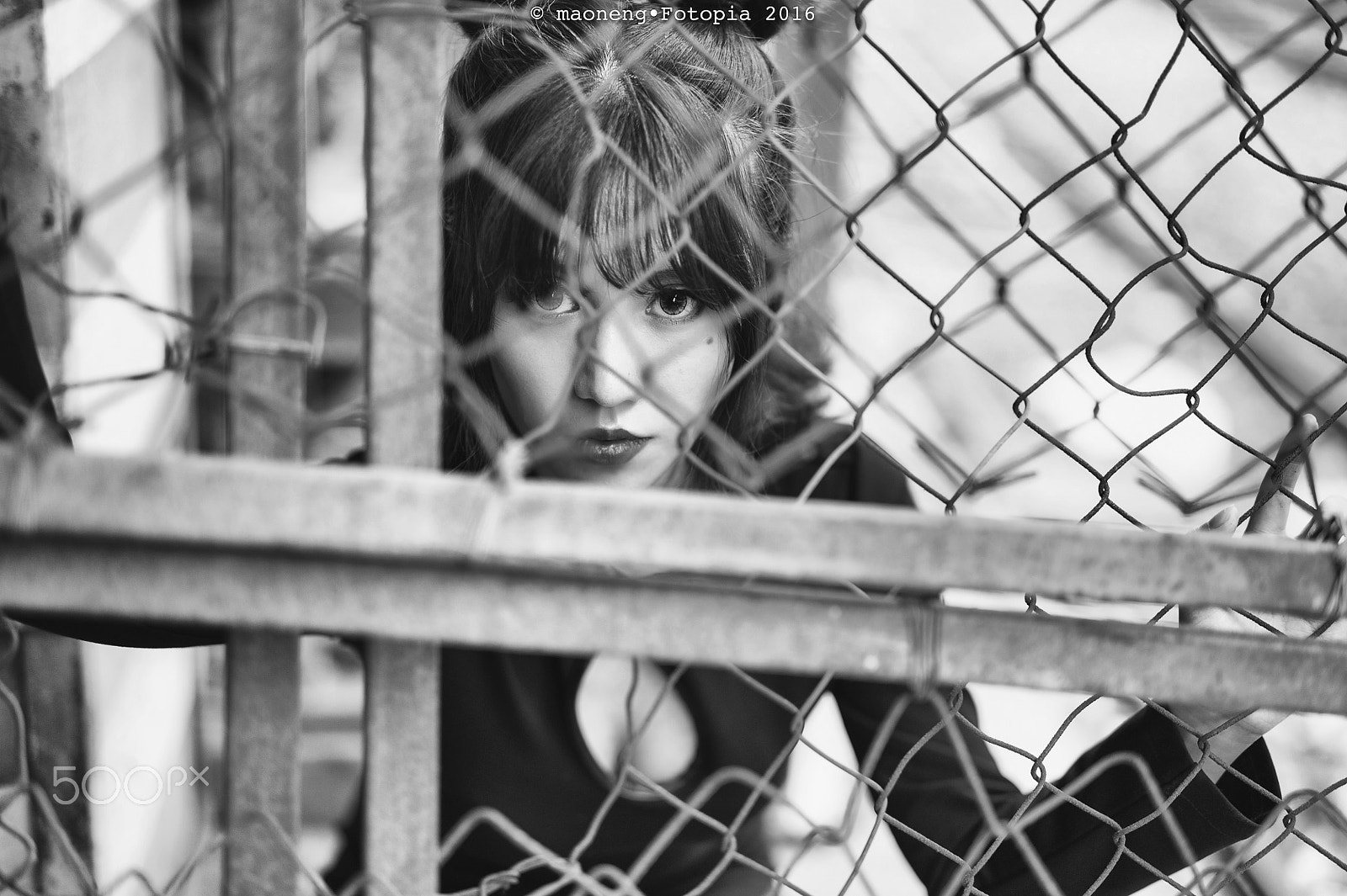 ZEISS Milvus 50mm F1.4 sample photo. Behind wires photography