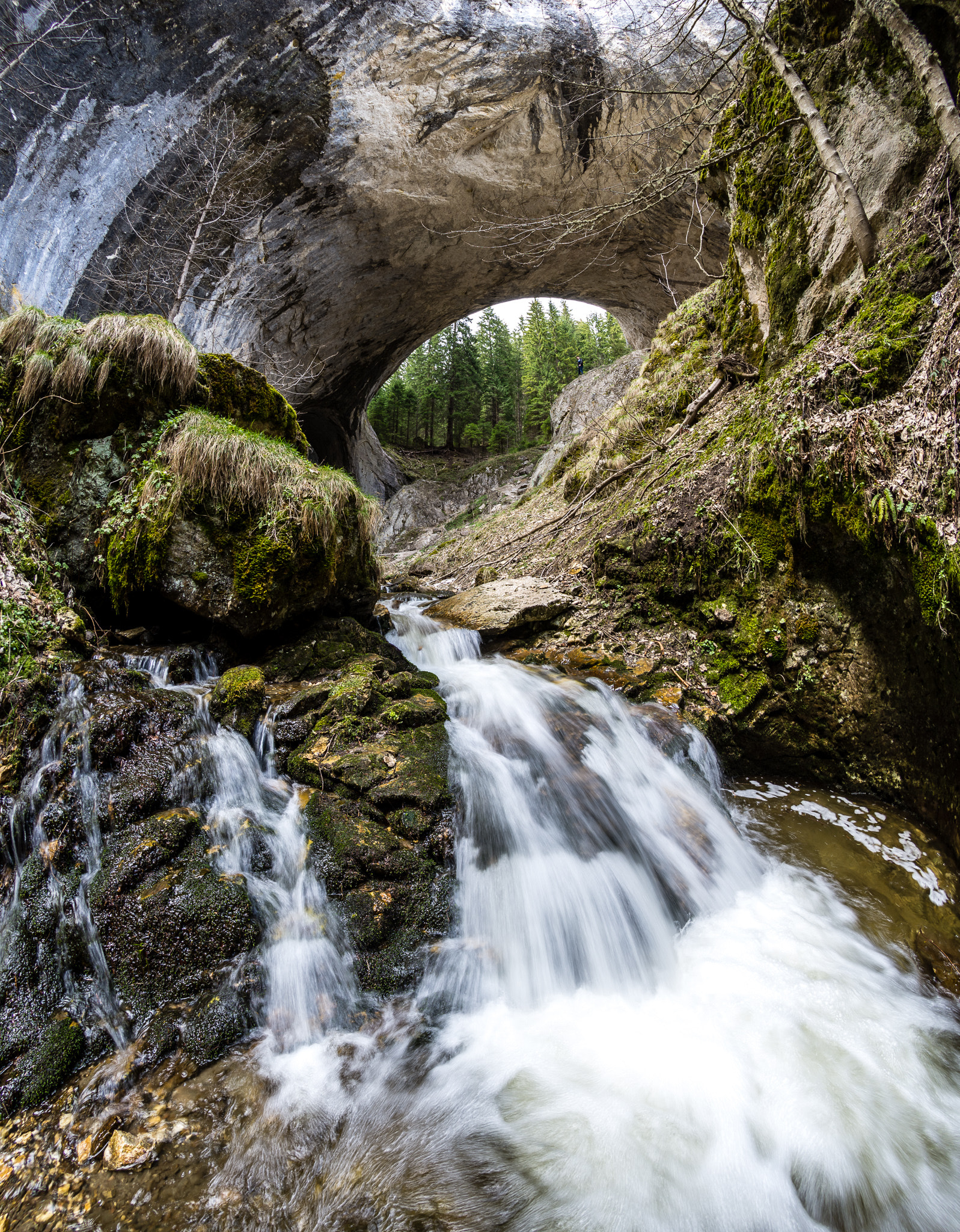 Nikon AF DX Fisheye-Nikkor 10.5mm F2.8G ED sample photo. The marvelous bridges photography