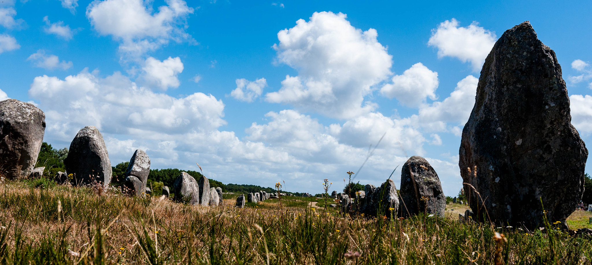 Nikon D90 + Sigma 18-35mm F1.8 DC HSM Art sample photo. Ménec alignments, carnac photography