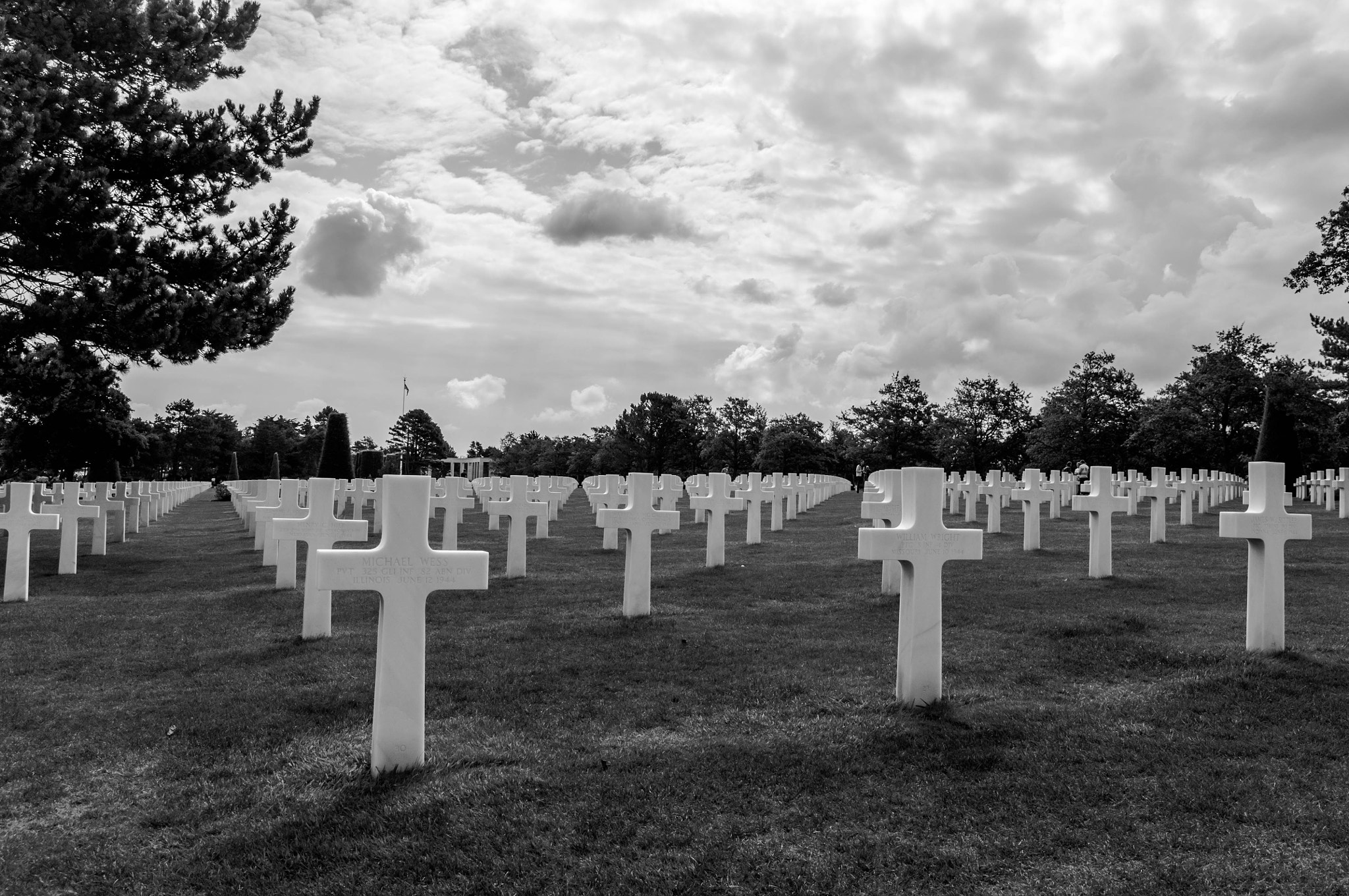 Nikon D90 + Sigma 18-35mm F1.8 DC HSM Art sample photo. So many lives photography