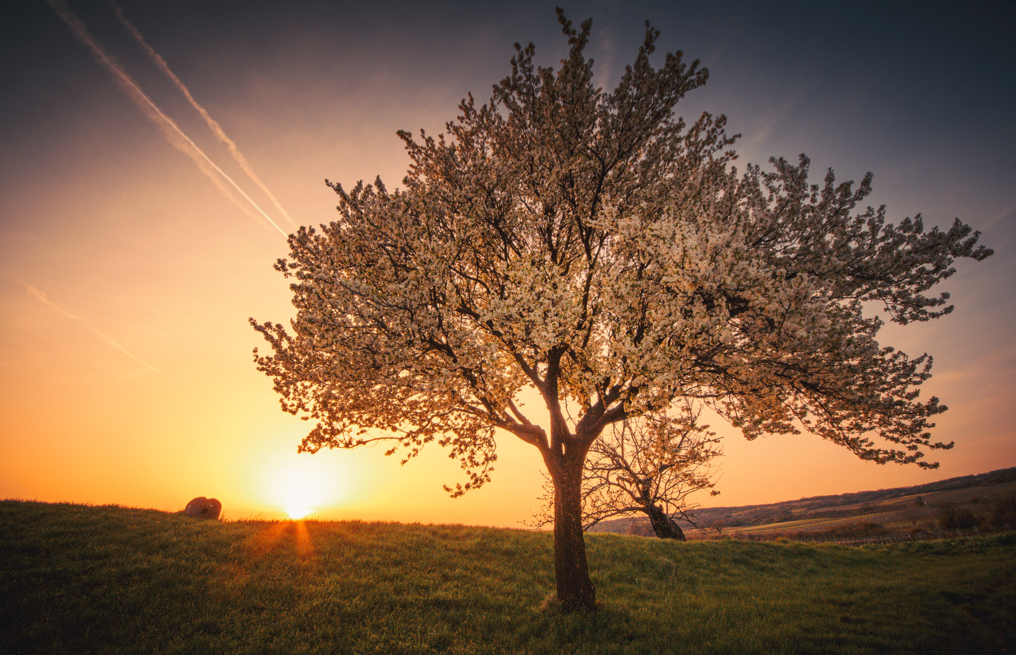 Sigma AF 10-20mm F4-5.6 EX DC sample photo. Spring sunset photography