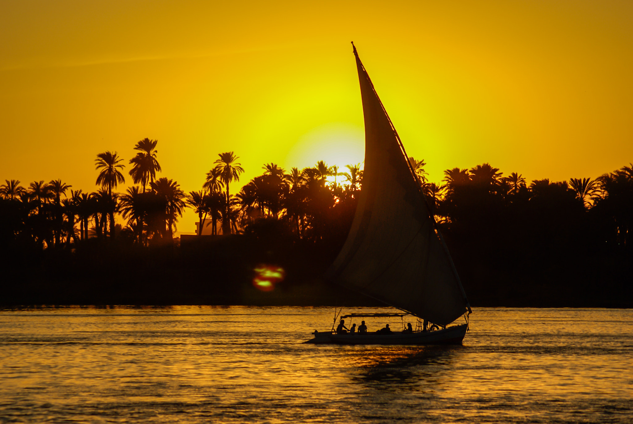 Tamron AF 70-300mm F4-5.6 Di LD Macro sample photo. Nile photography