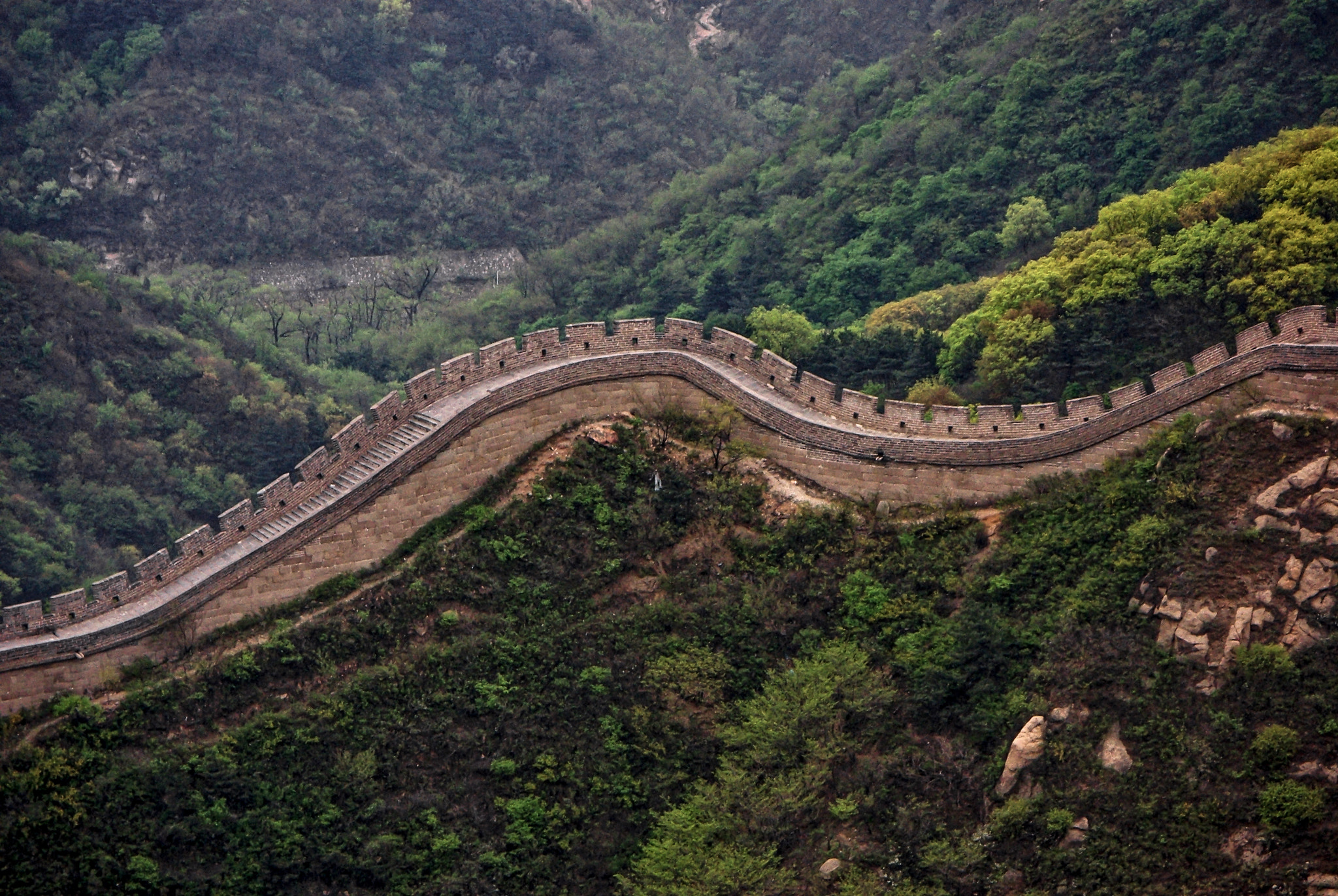 smc PENTAX-DA L 50-200mm F4-5.6 ED sample photo. Dragon journey photography