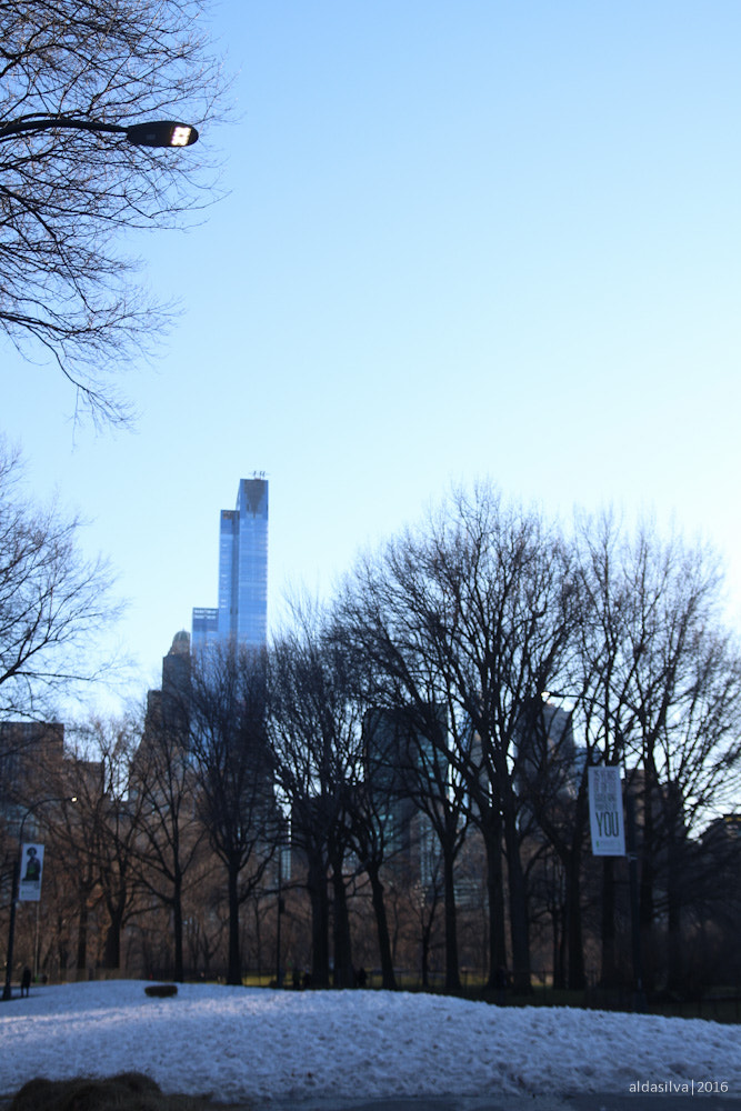 Sigma 17-70mm F2.8-4 DC Macro OS HSM sample photo. Nyc | snowy central park photography