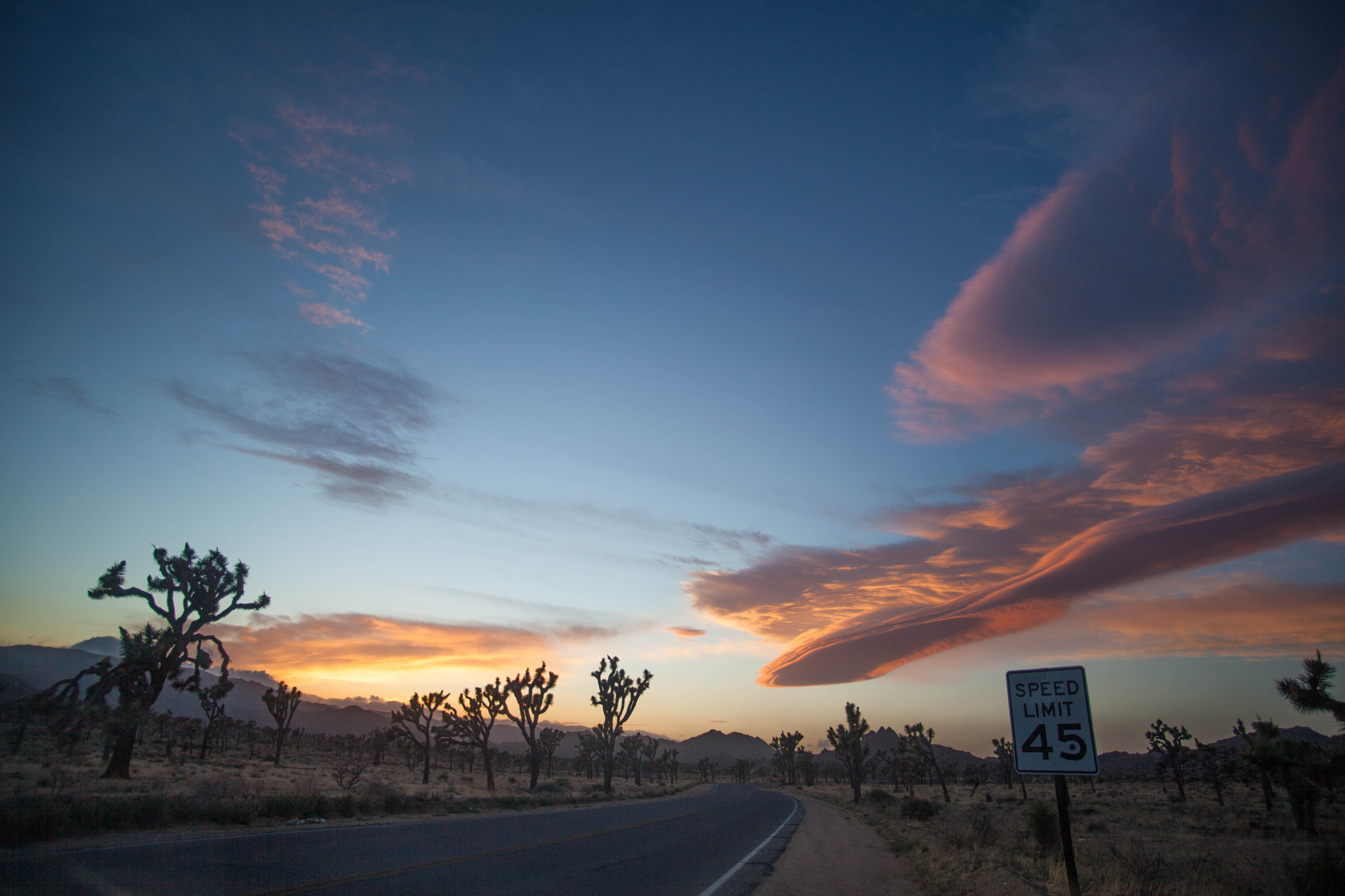 Tamron AF 19-35mm f/3.5-4.5 sample photo. Joshua tree photography