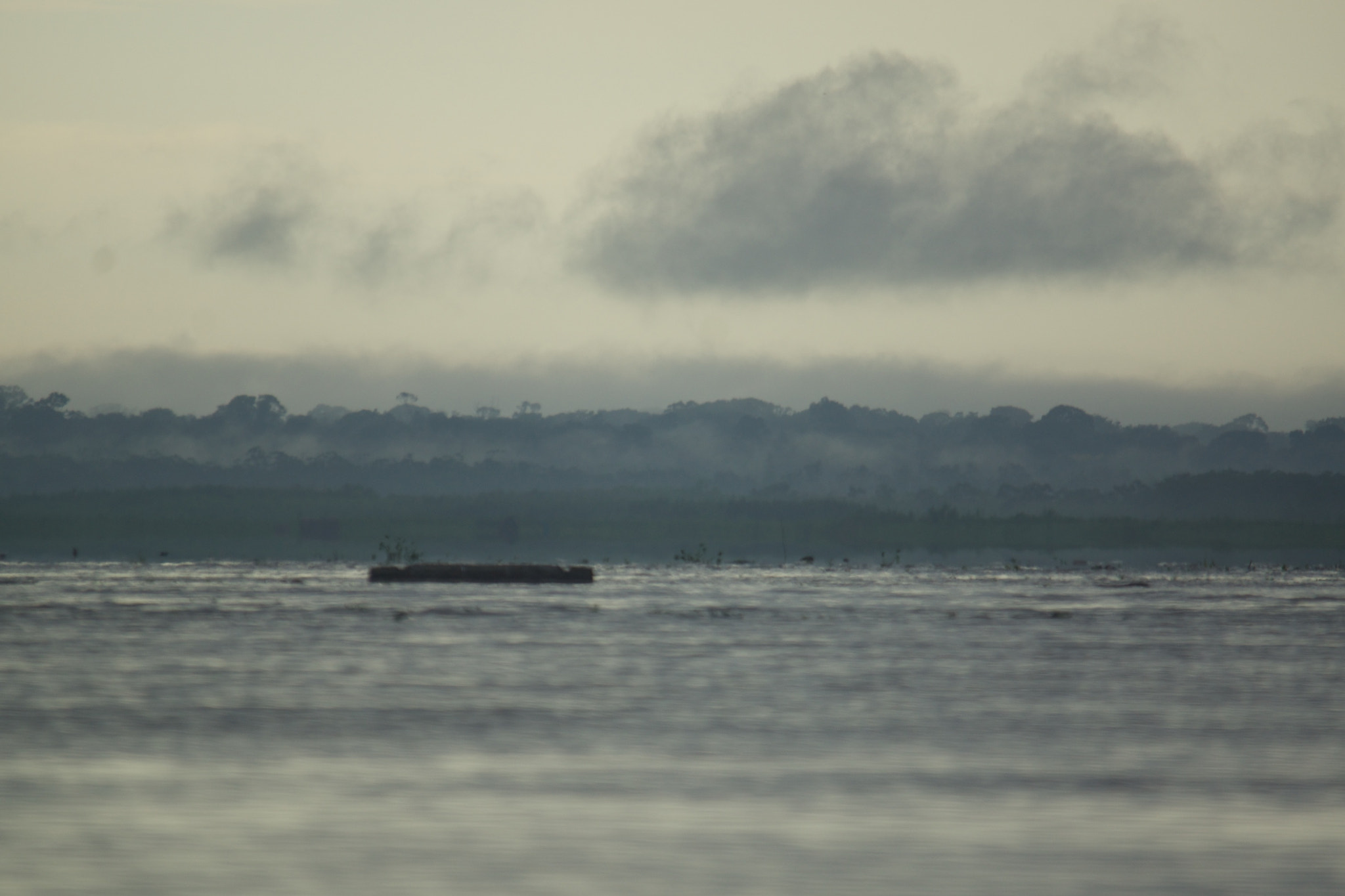 Sigma 150-500mm F5-6.3 DG OS HSM sample photo. Amazonas peruano photography
