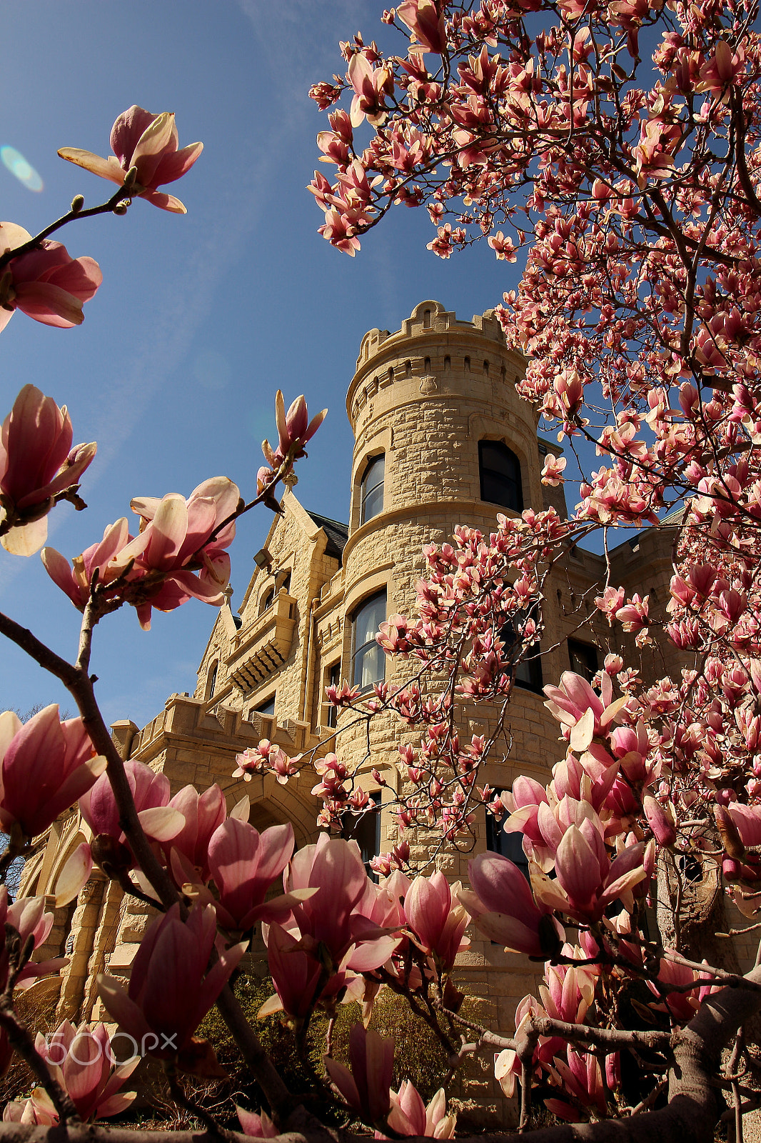 Canon EF-S 10-18mm F4.5–5.6 IS STM sample photo. Castle in bloom photography