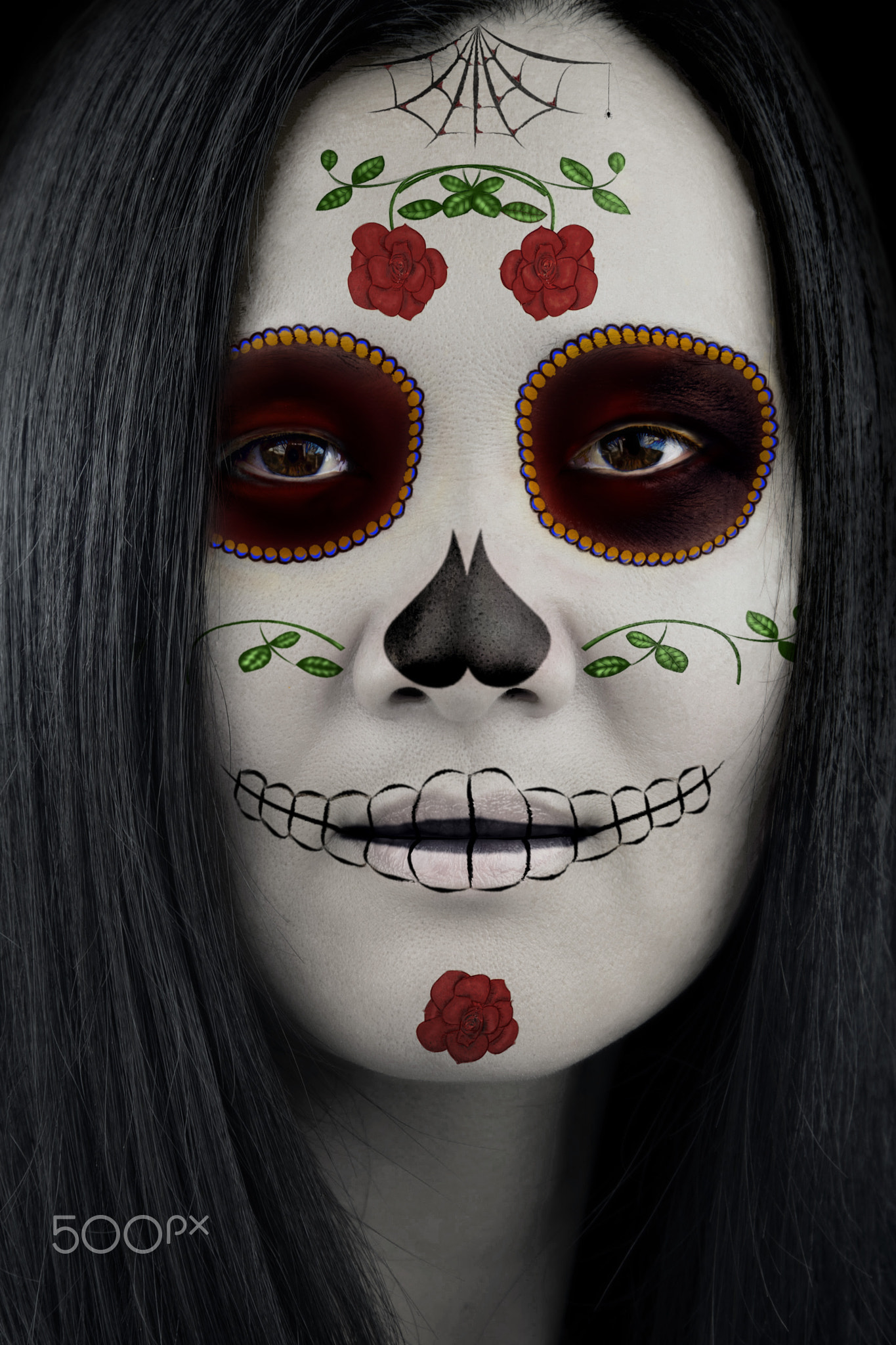 Beautiful Dia de Los Muertos Face