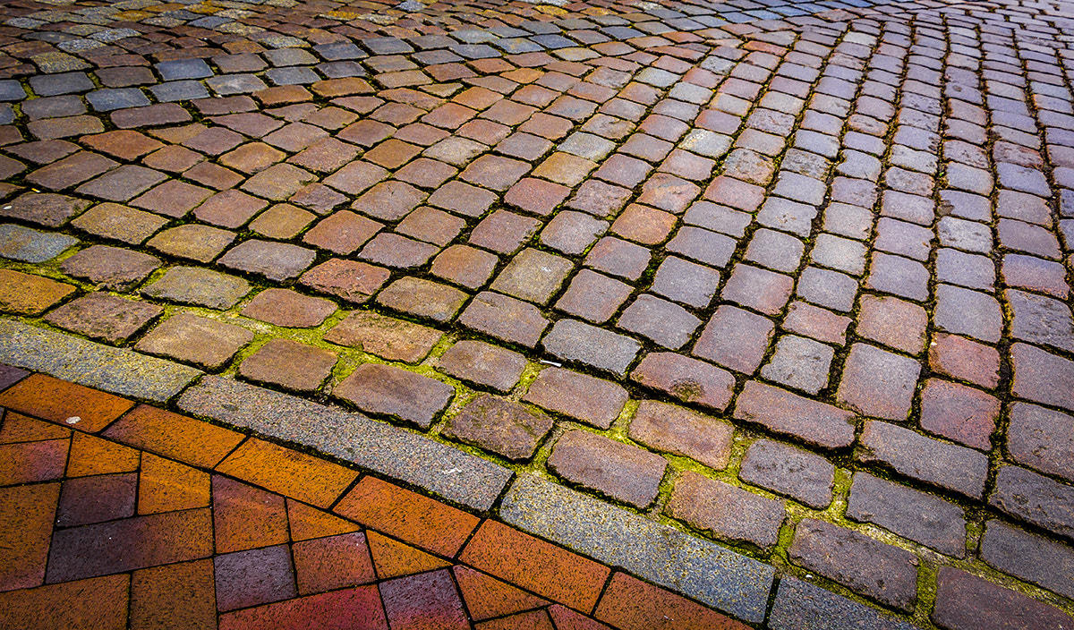 Canon EF-S 18-135mm F3.5-5.6 IS STM sample photo. Walking rostock photography