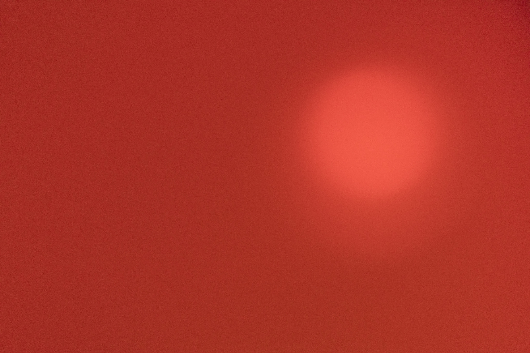 Canon EF 100-400mm F4.5-5.6L IS USM sample photo. Red grainy background photography