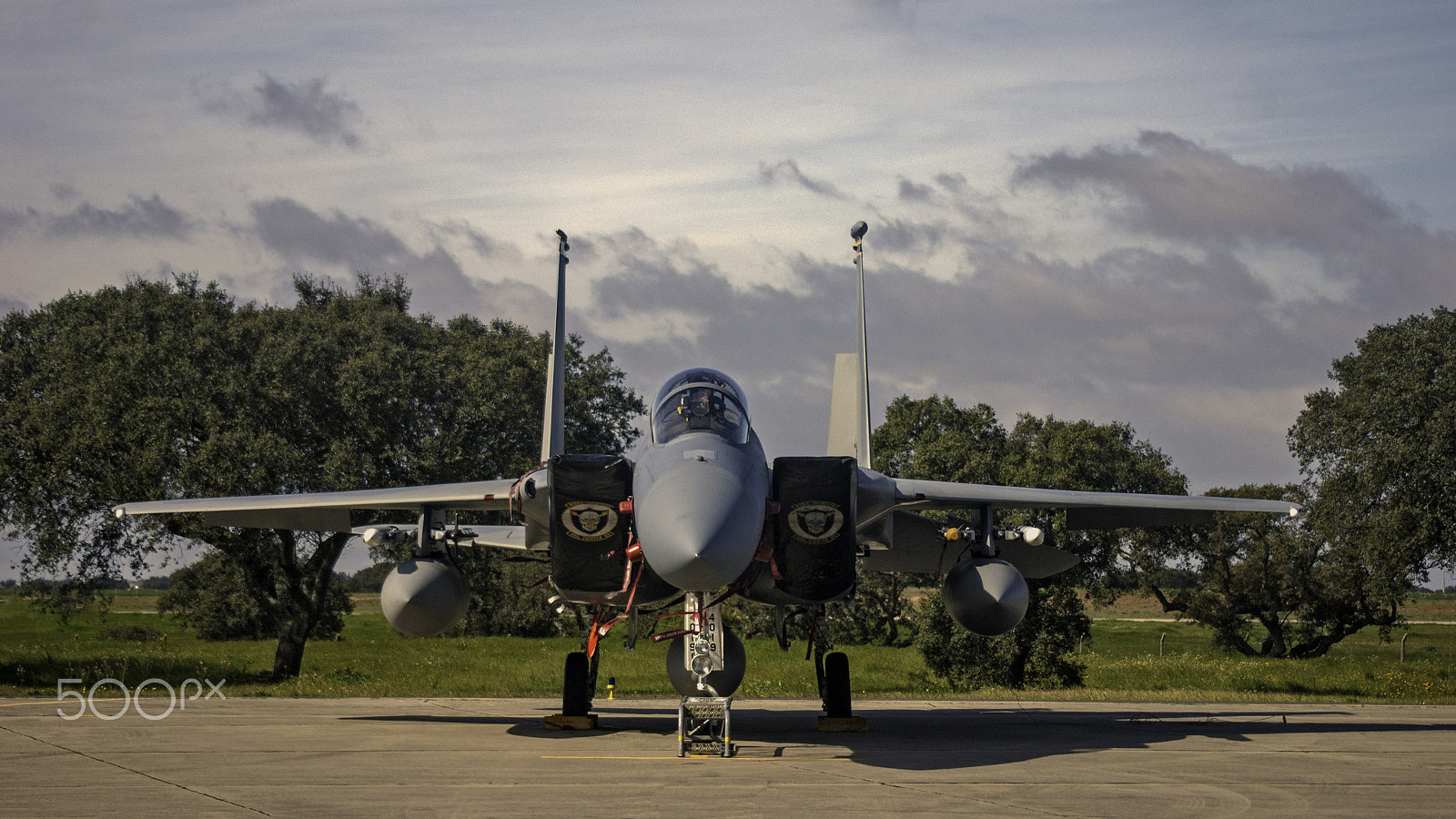 Sony Alpha DSLR-A390 + Sigma 30mm F1.4 EX DC HSM sample photo. Mcdonnell douglas f-15c eagle photography