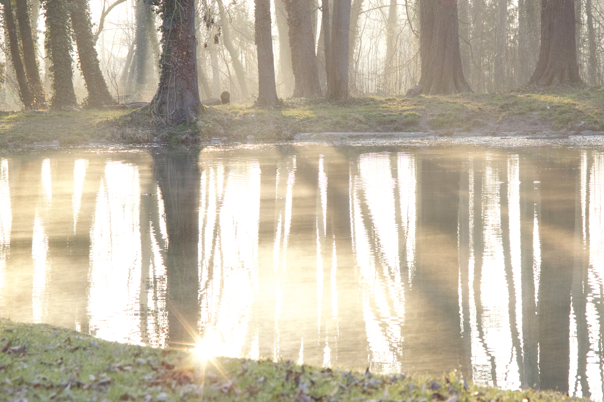 Canon EF 28-80mm f/2.8-4L sample photo. Reflections on a lake photography