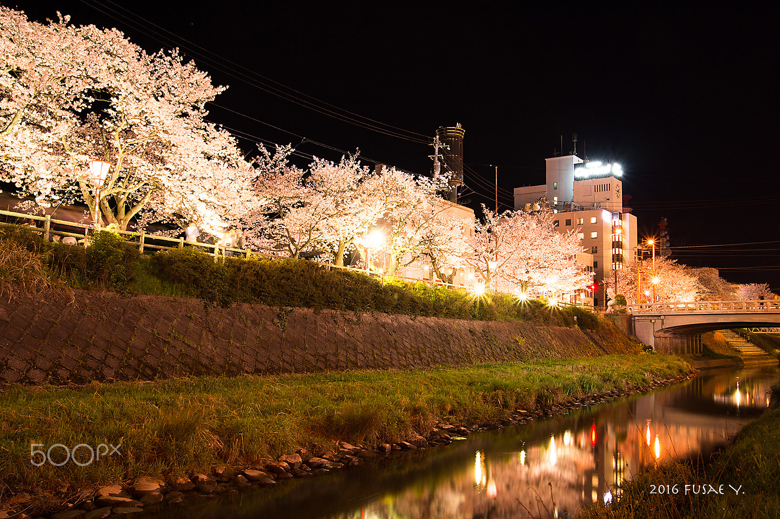 Nikon Df sample photo. Cherry blossom photography