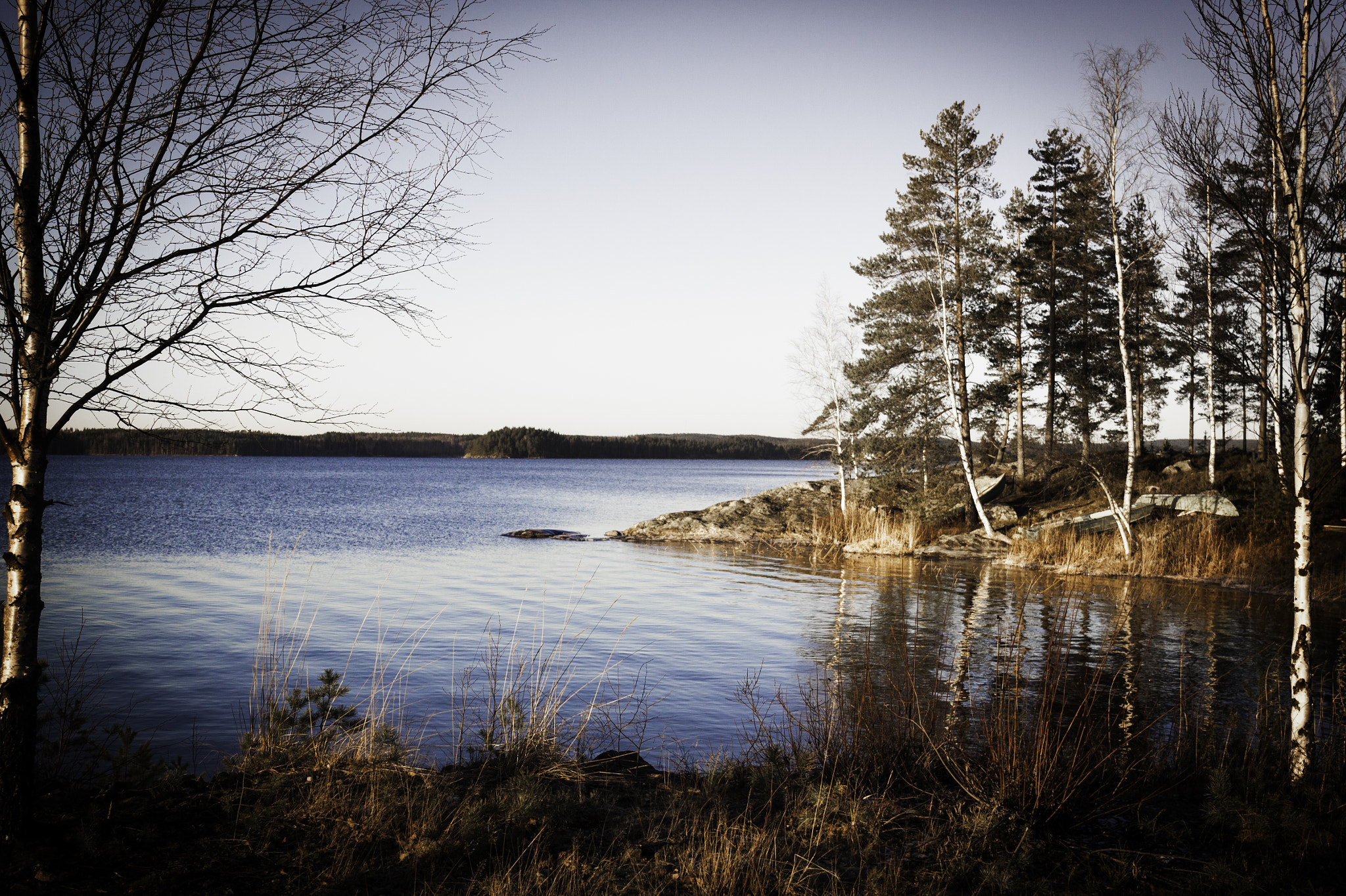 Canon EF 24-70mm F4L IS USM sample photo