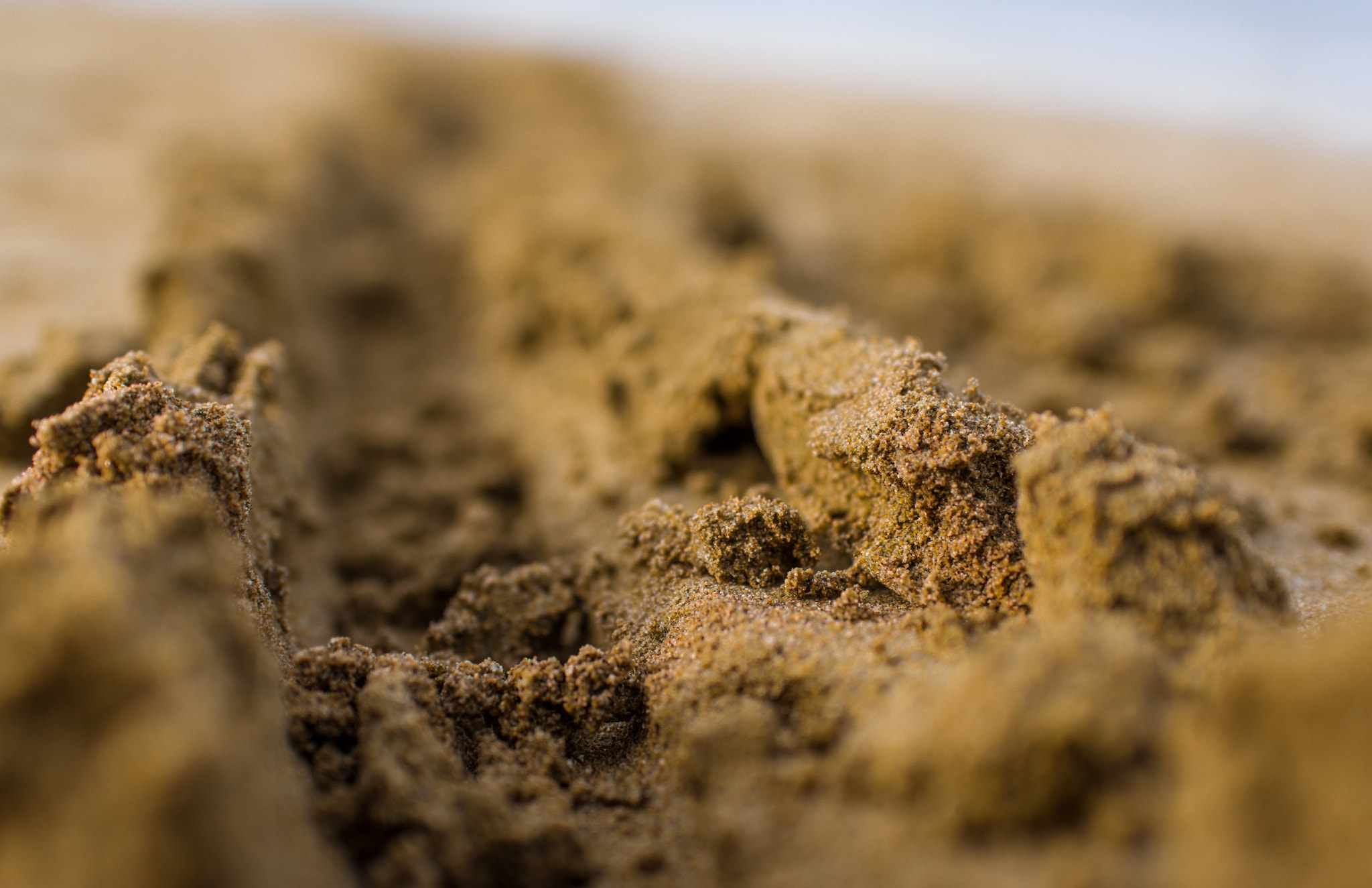 Sigma 30mm F1.4 EX DC HSM sample photo. Sand tracks photography