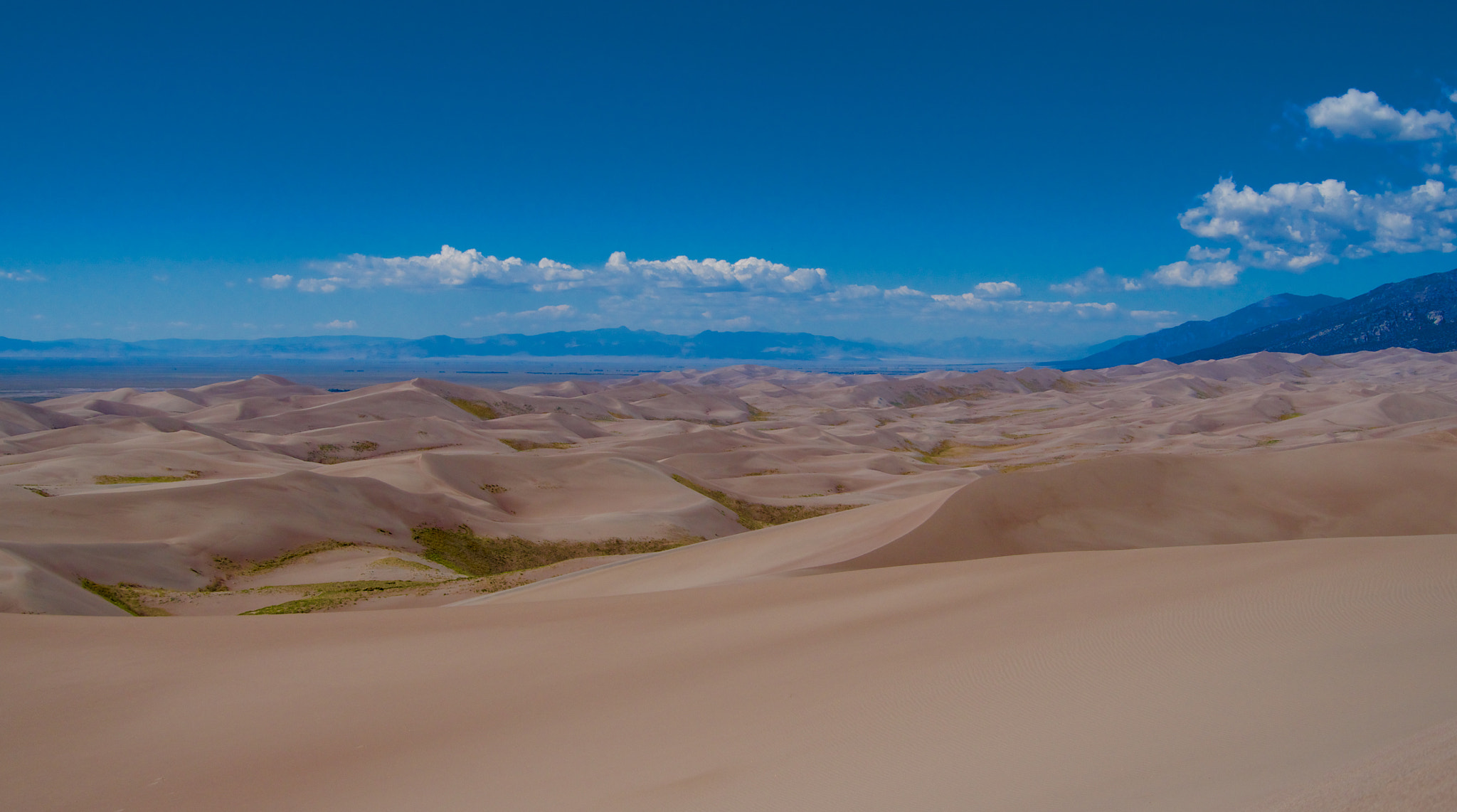 Olympus OM-D E-M5 sample photo. Dunes photography