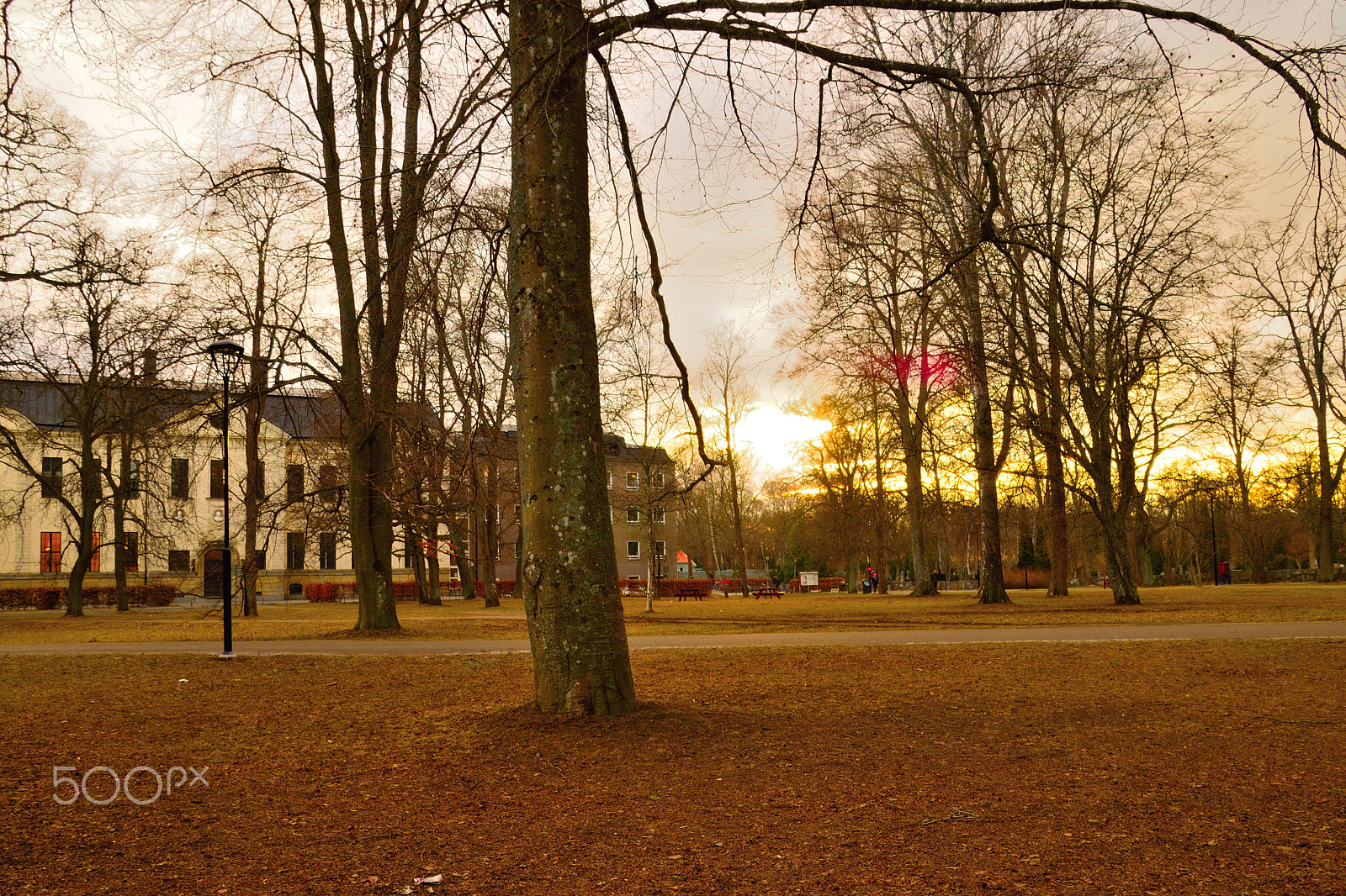 Sigma 18-200mm F3.5-6.3 DC OS HSM sample photo. City park photography